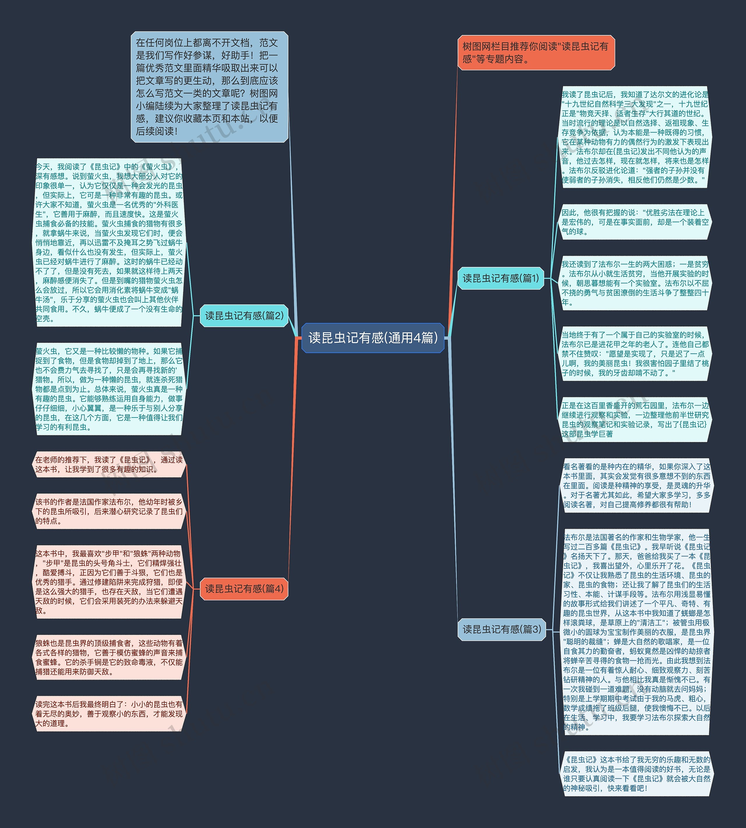 读昆虫记有感(通用4篇)思维导图