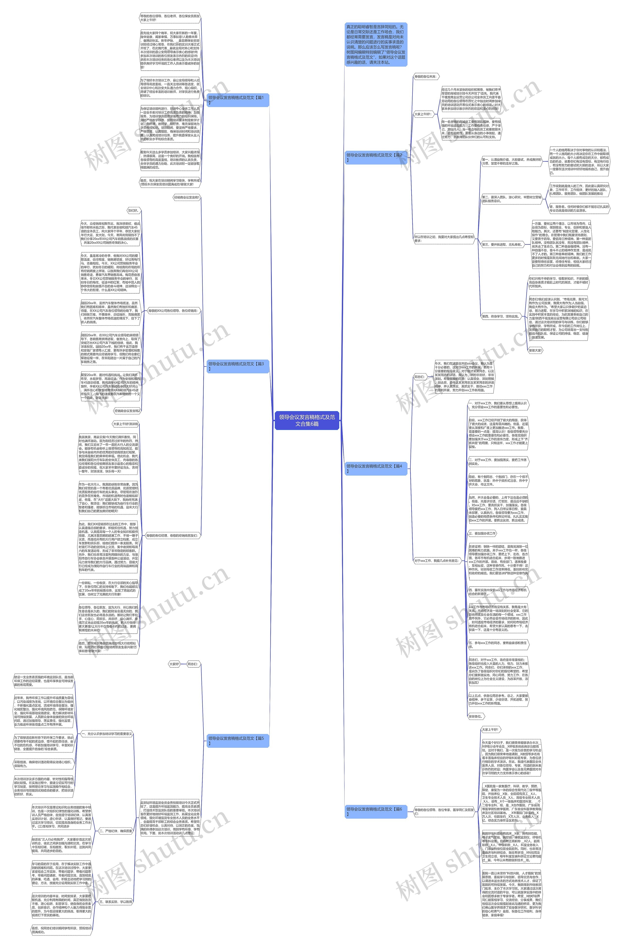 领导会议发言稿格式及范文合集6篇思维导图