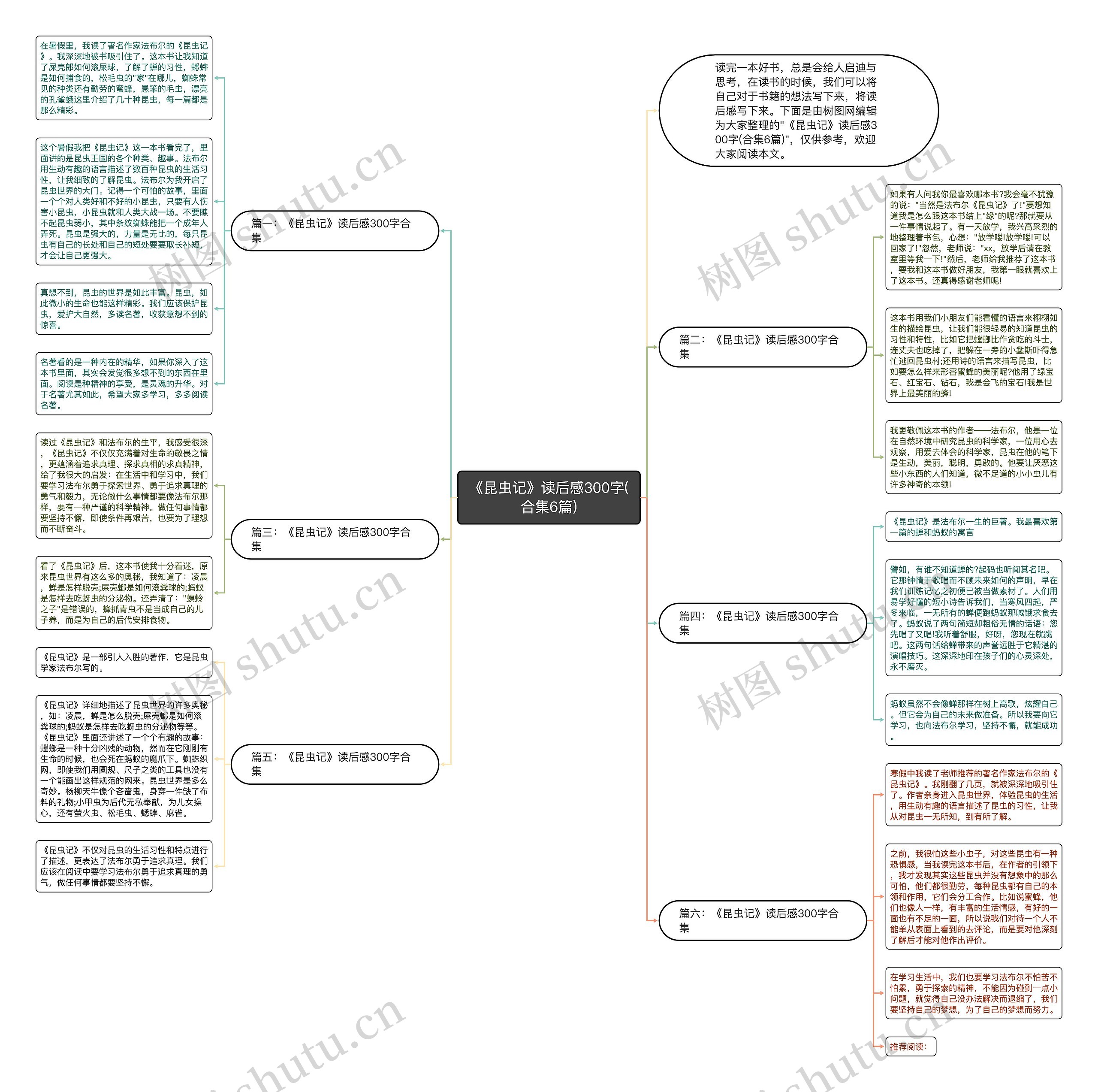 《昆虫记》读后感300字(合集6篇)思维导图
