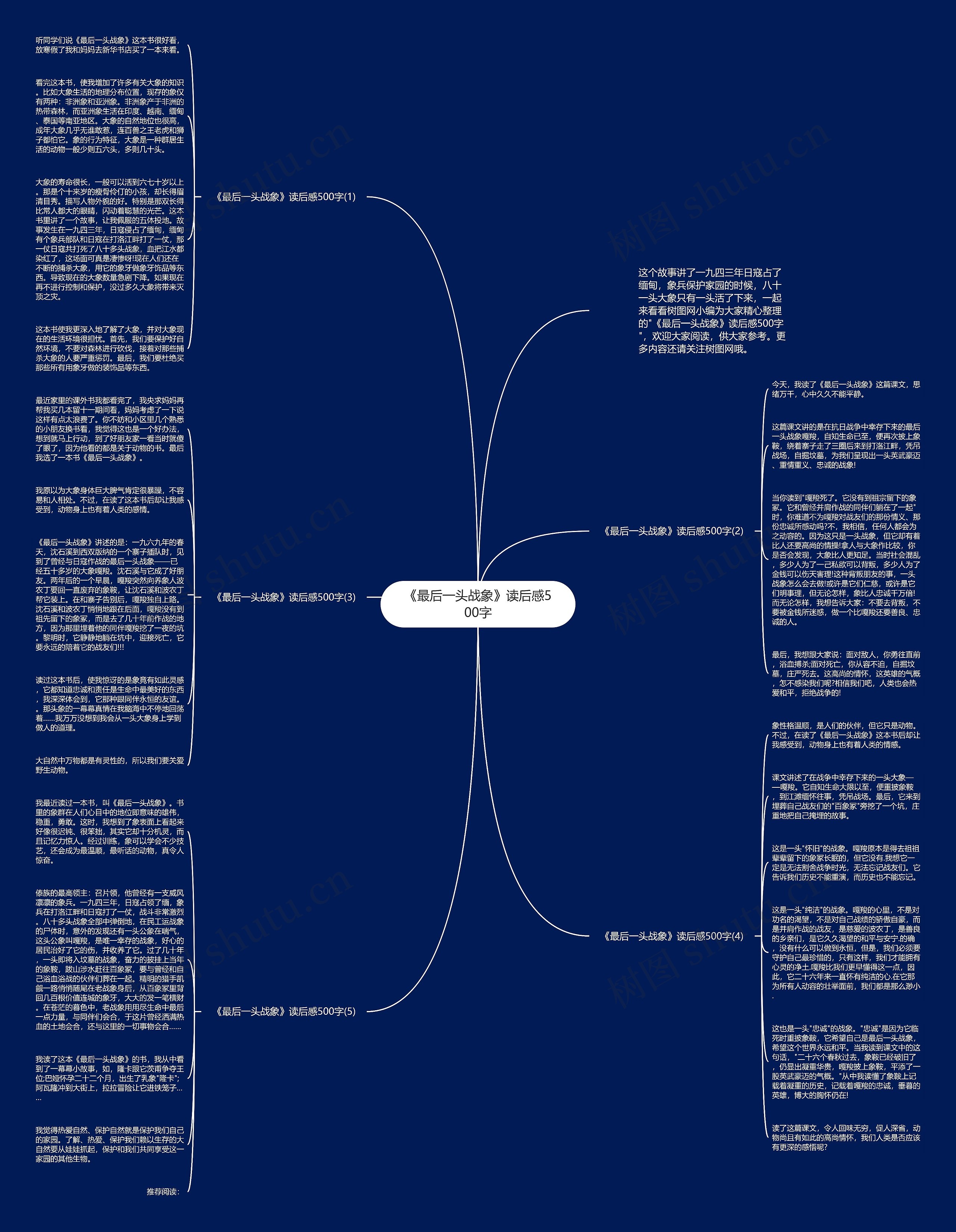 《最后一头战象》读后感500字思维导图