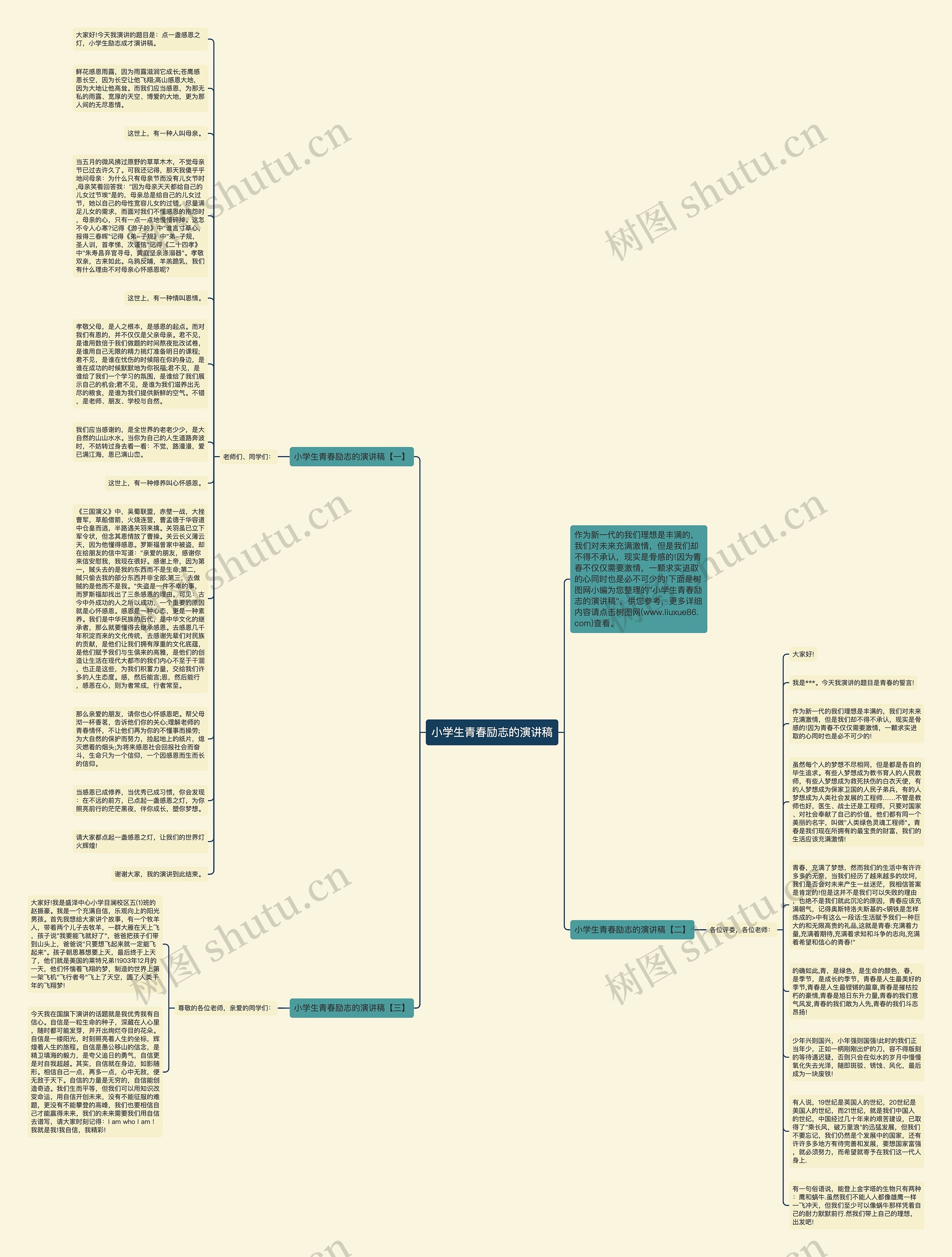 小学生青春励志的演讲稿思维导图