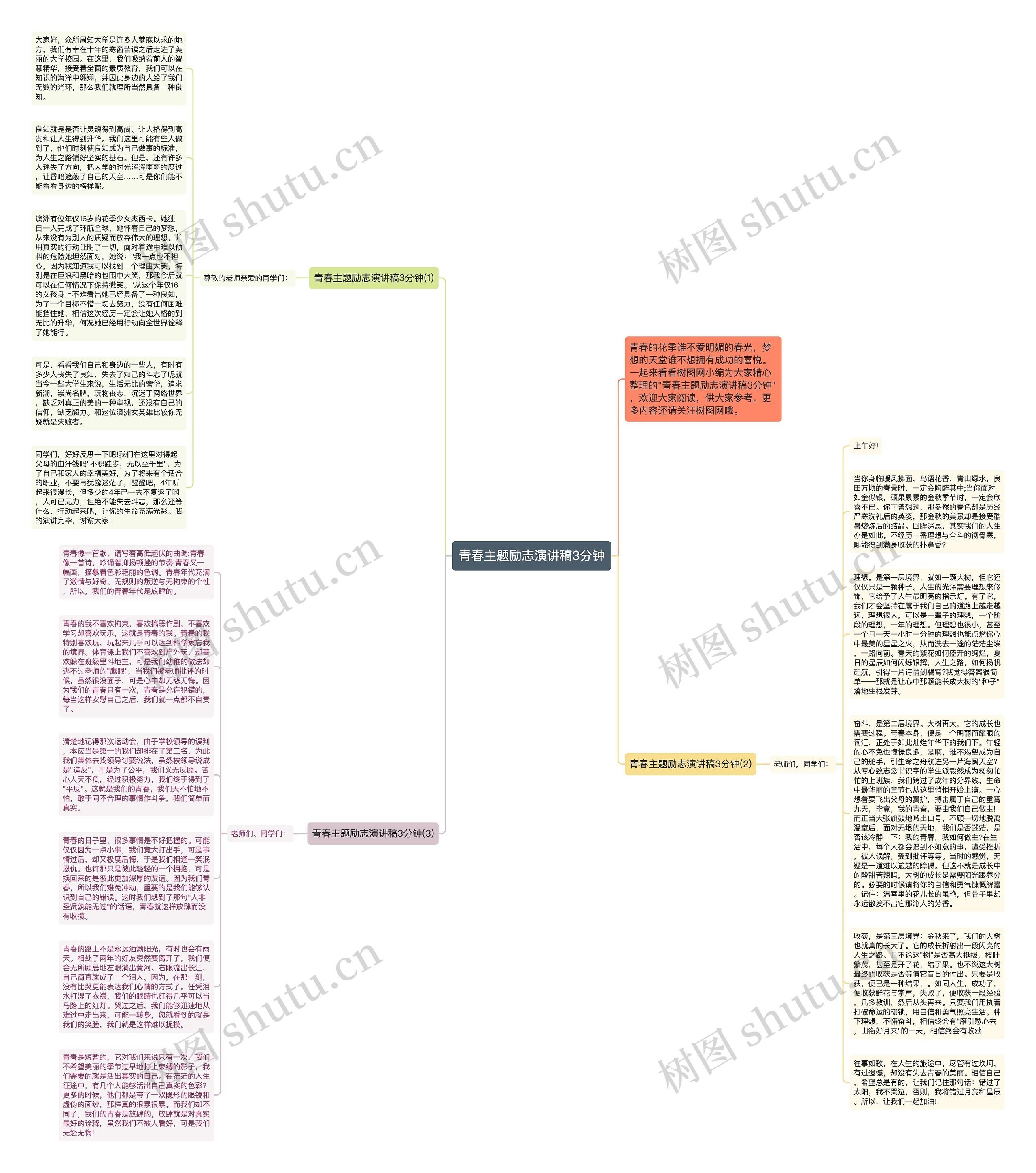 青春主题励志演讲稿3分钟思维导图