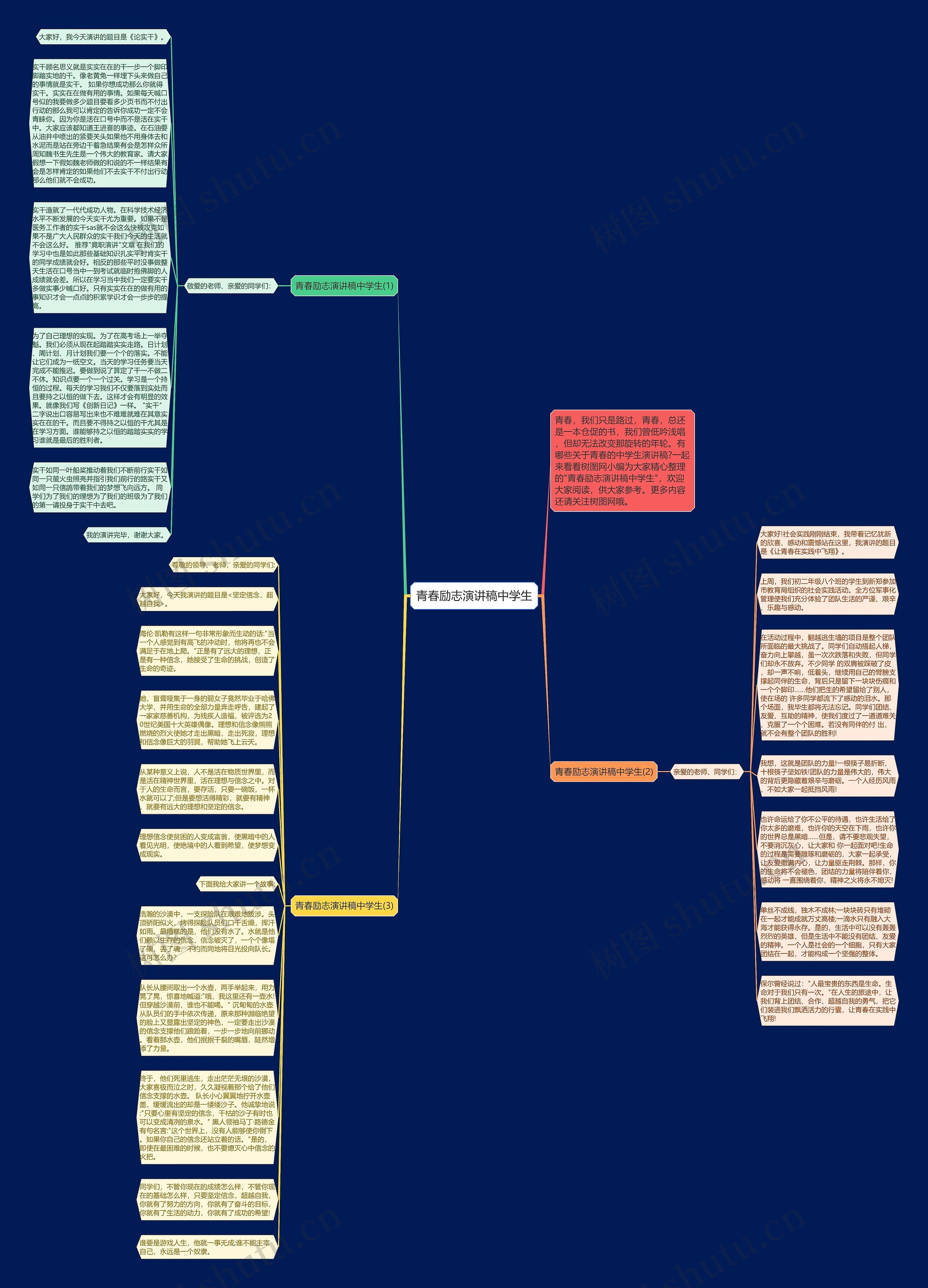 青春励志演讲稿中学生思维导图