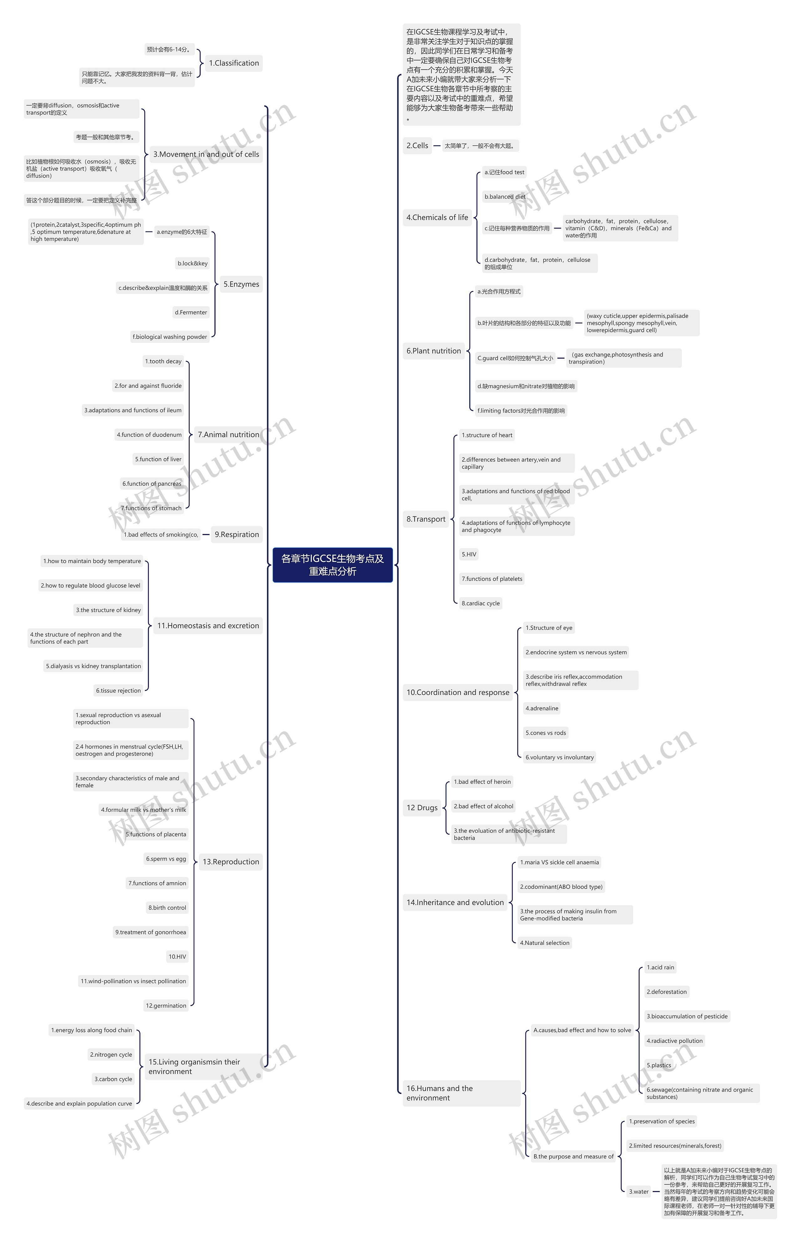各章节IGCSE生物考点及重难点分析