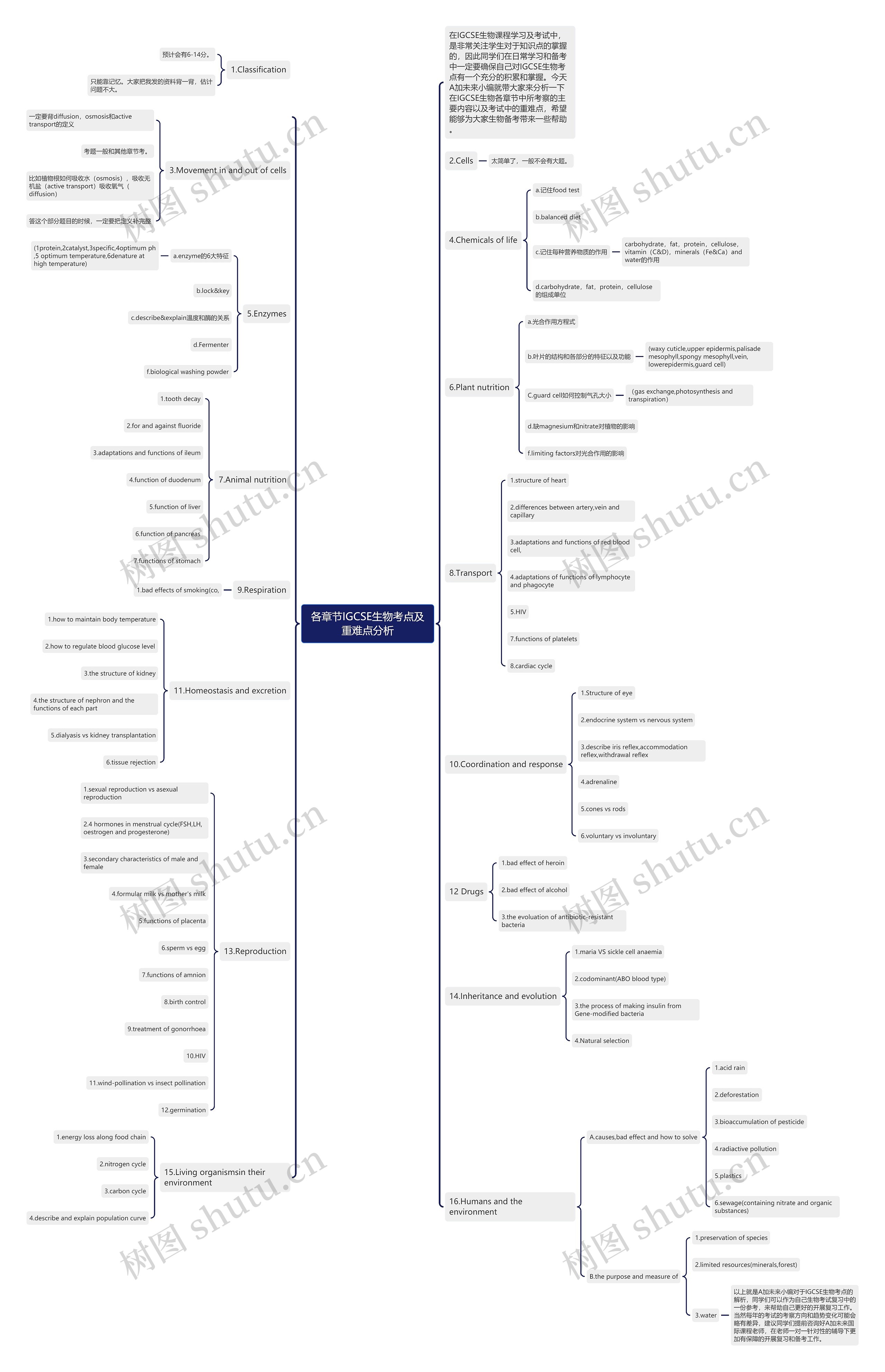 各章节IGCSE生物考点及重难点分析 各章节IGCSE生物考点及重难点分析