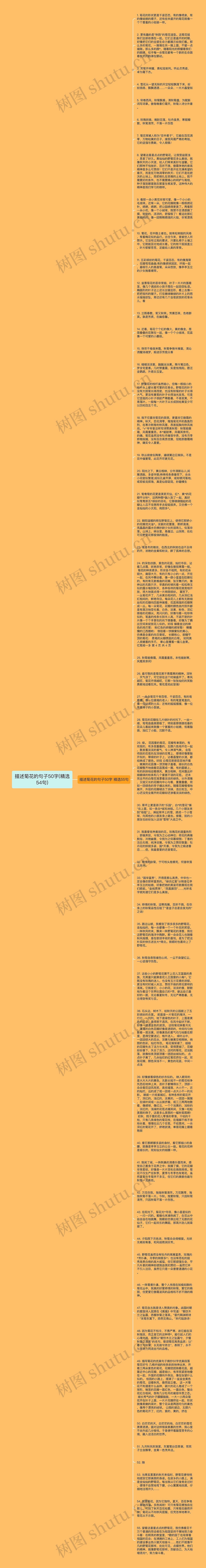 描述菊花的句子50字(精选54句)思维导图