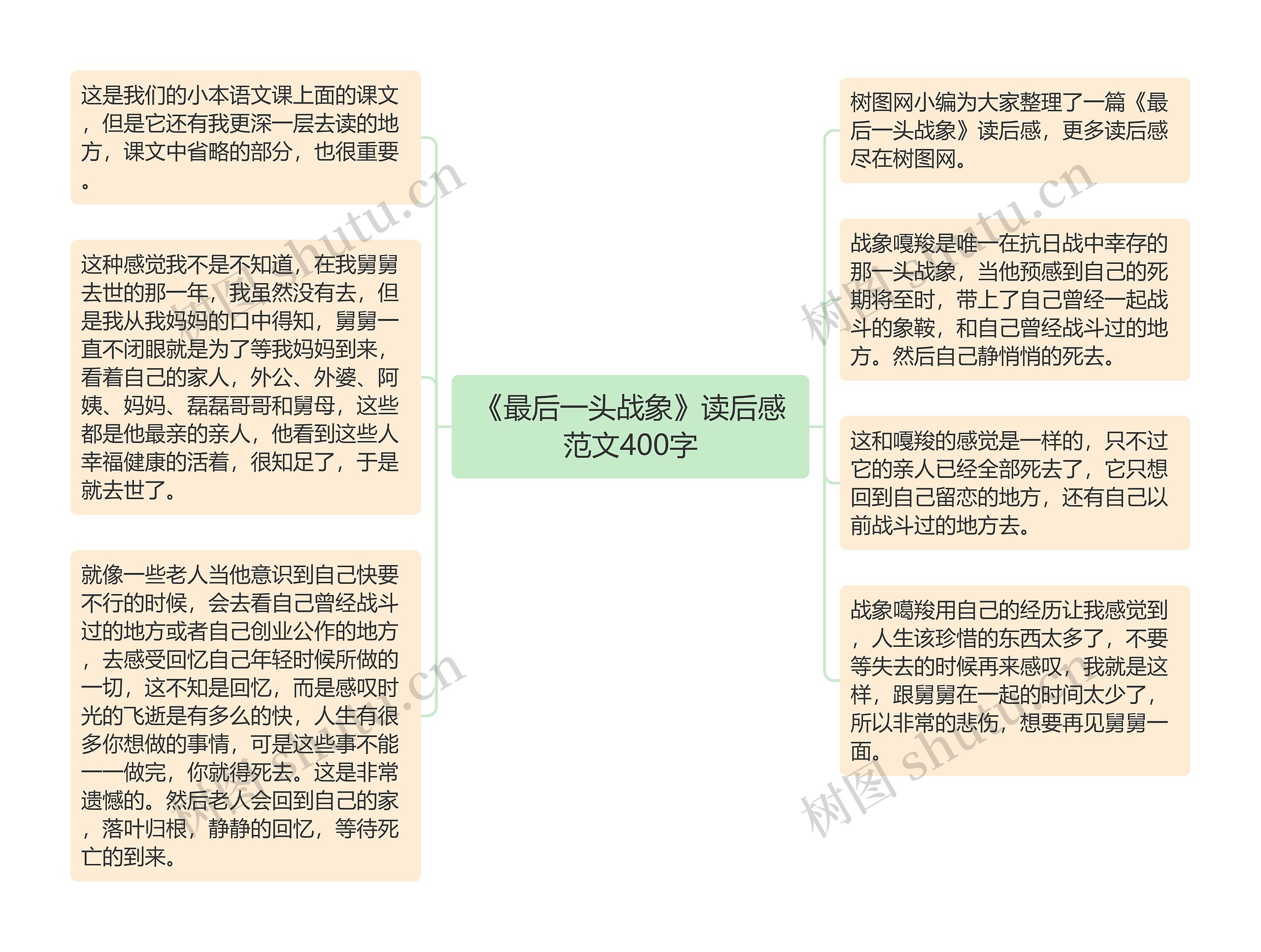 《最后一头战象》读后感范文400字思维导图