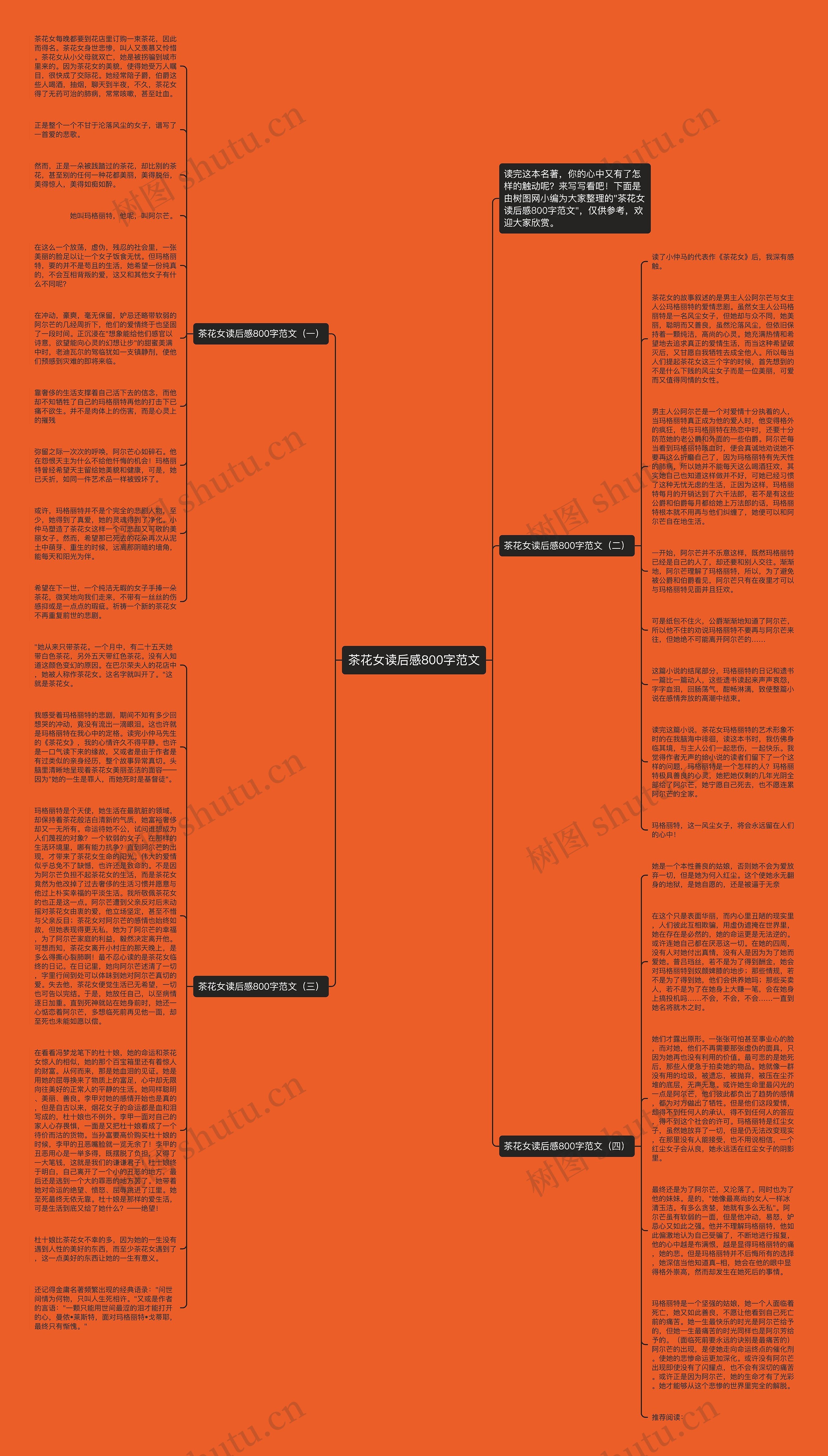 茶花女读后感800字范文