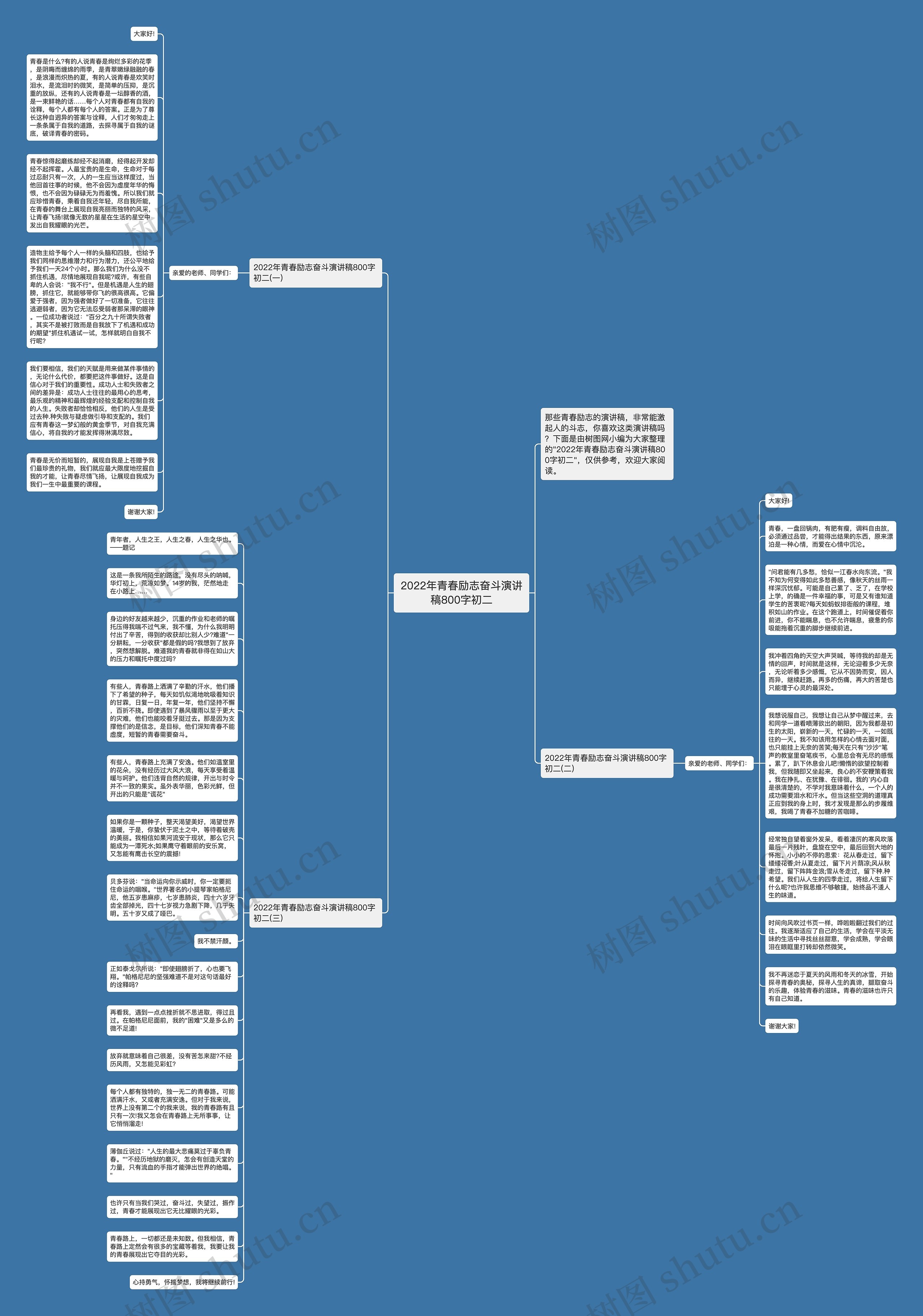 2022年青春励志奋斗演讲稿800字初二思维导图