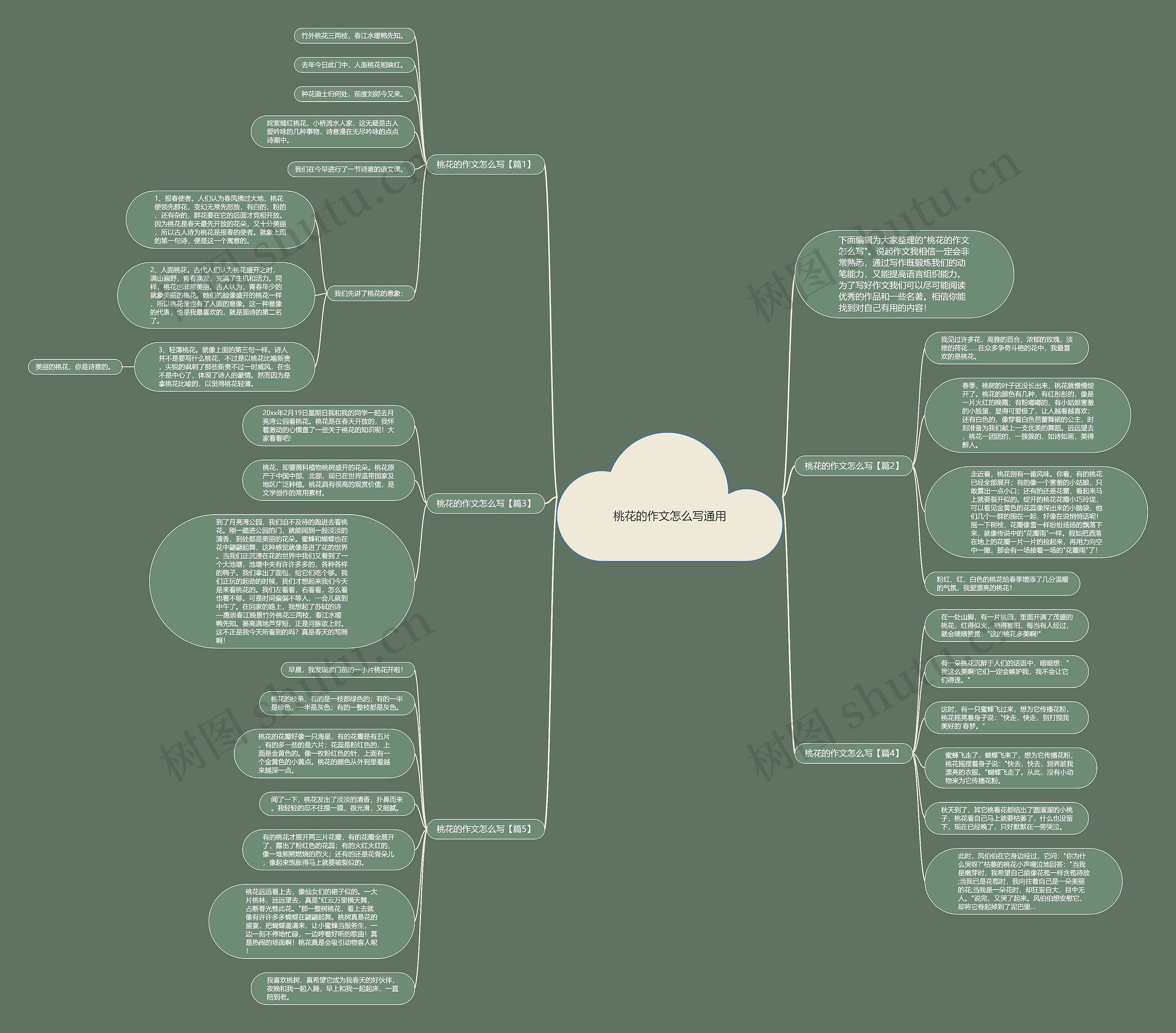 桃花的作文怎么写通用思维导图