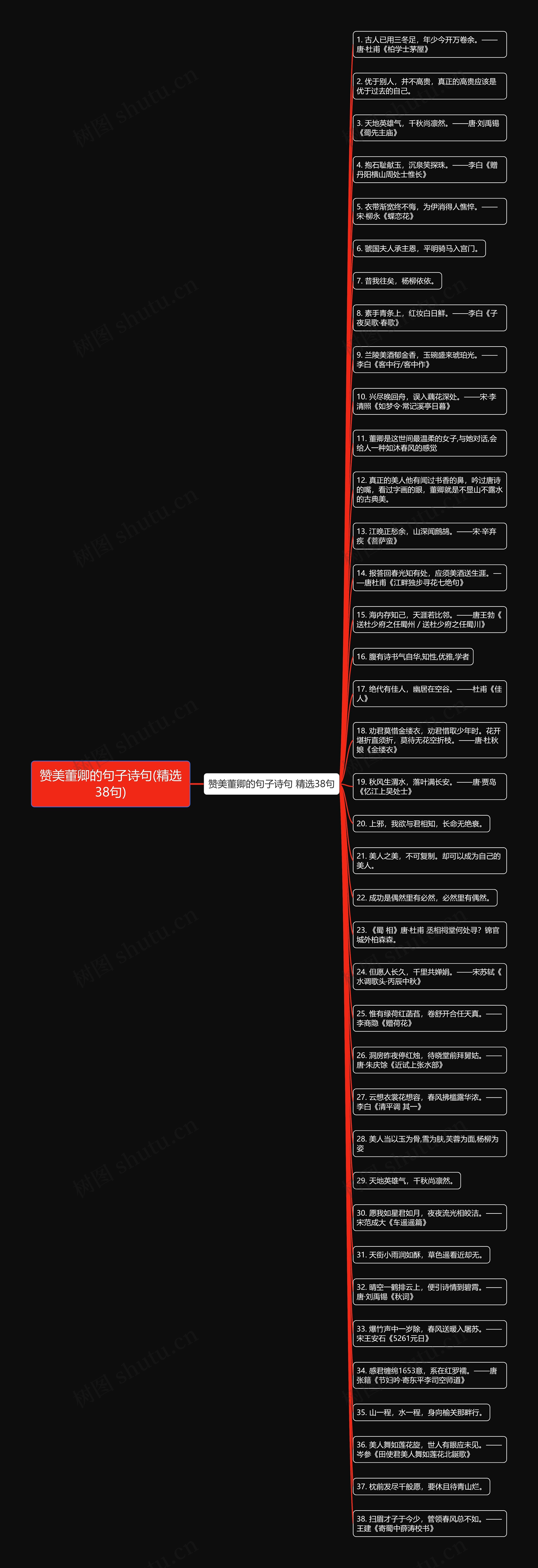 赞美董卿的句子诗句(精选38句)思维导图