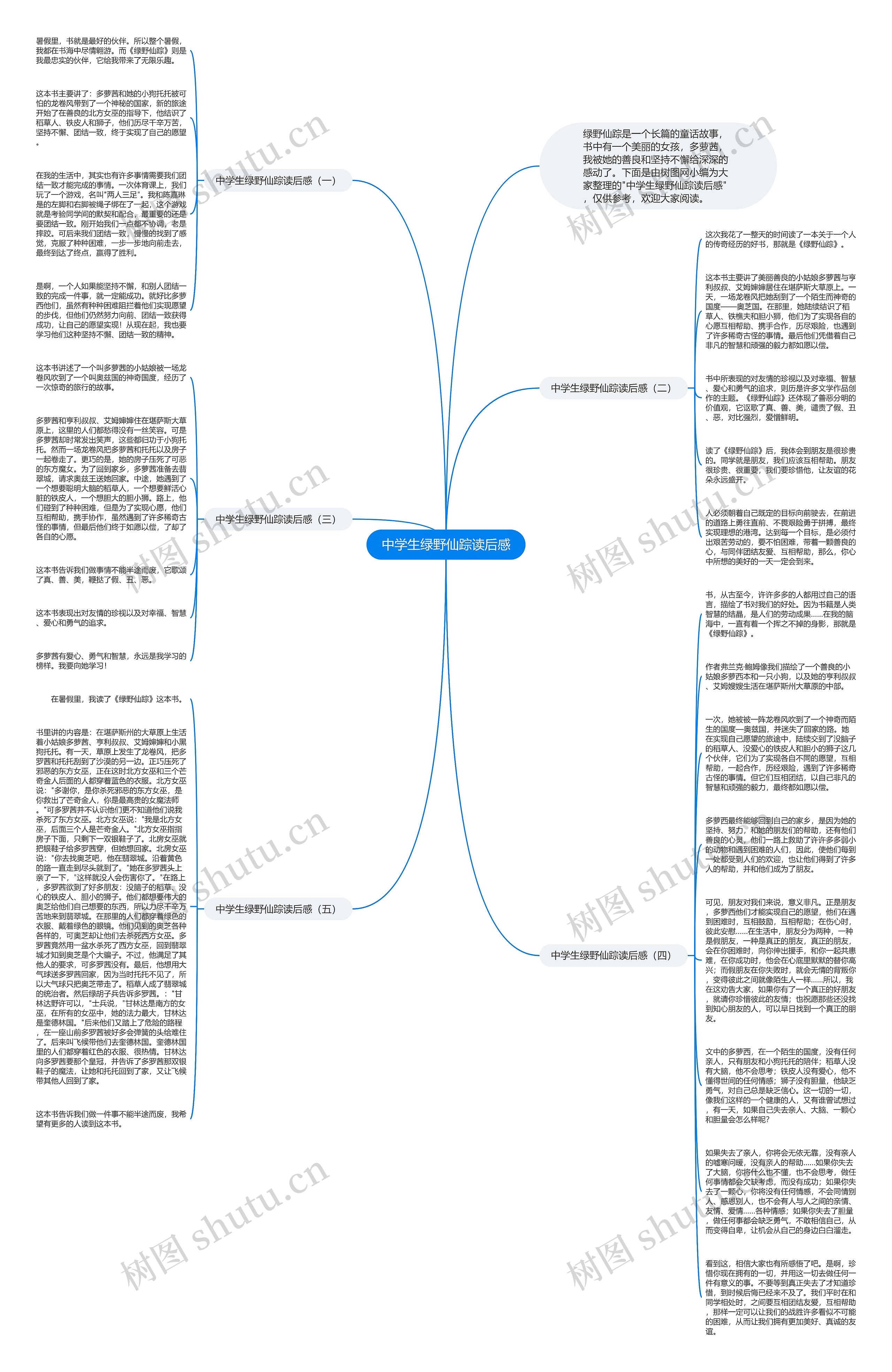 中学生绿野仙踪读后感思维导图