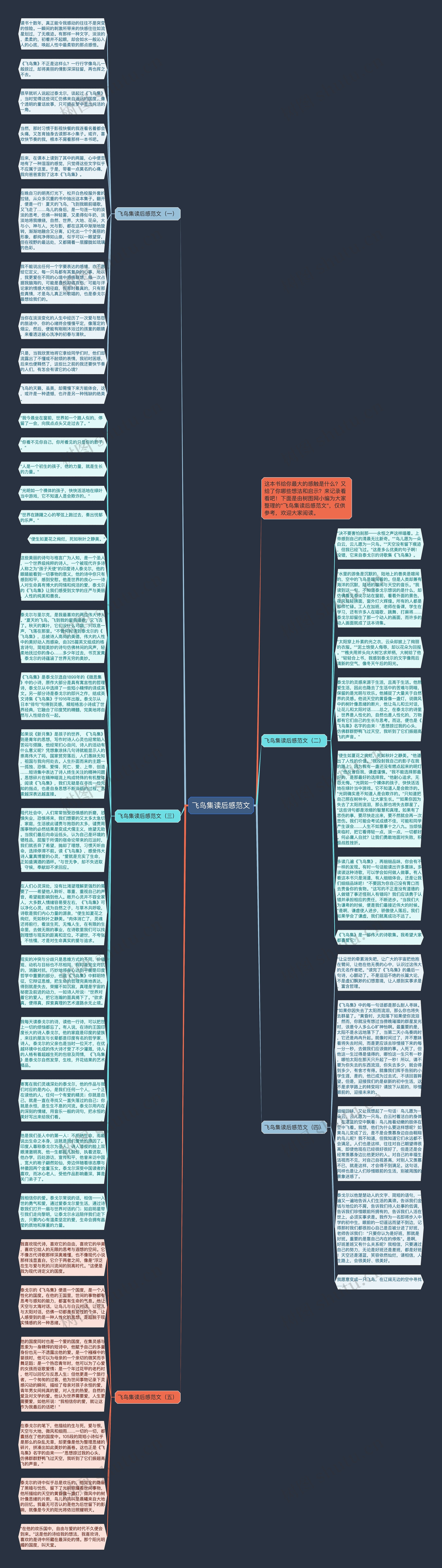飞鸟集读后感范文