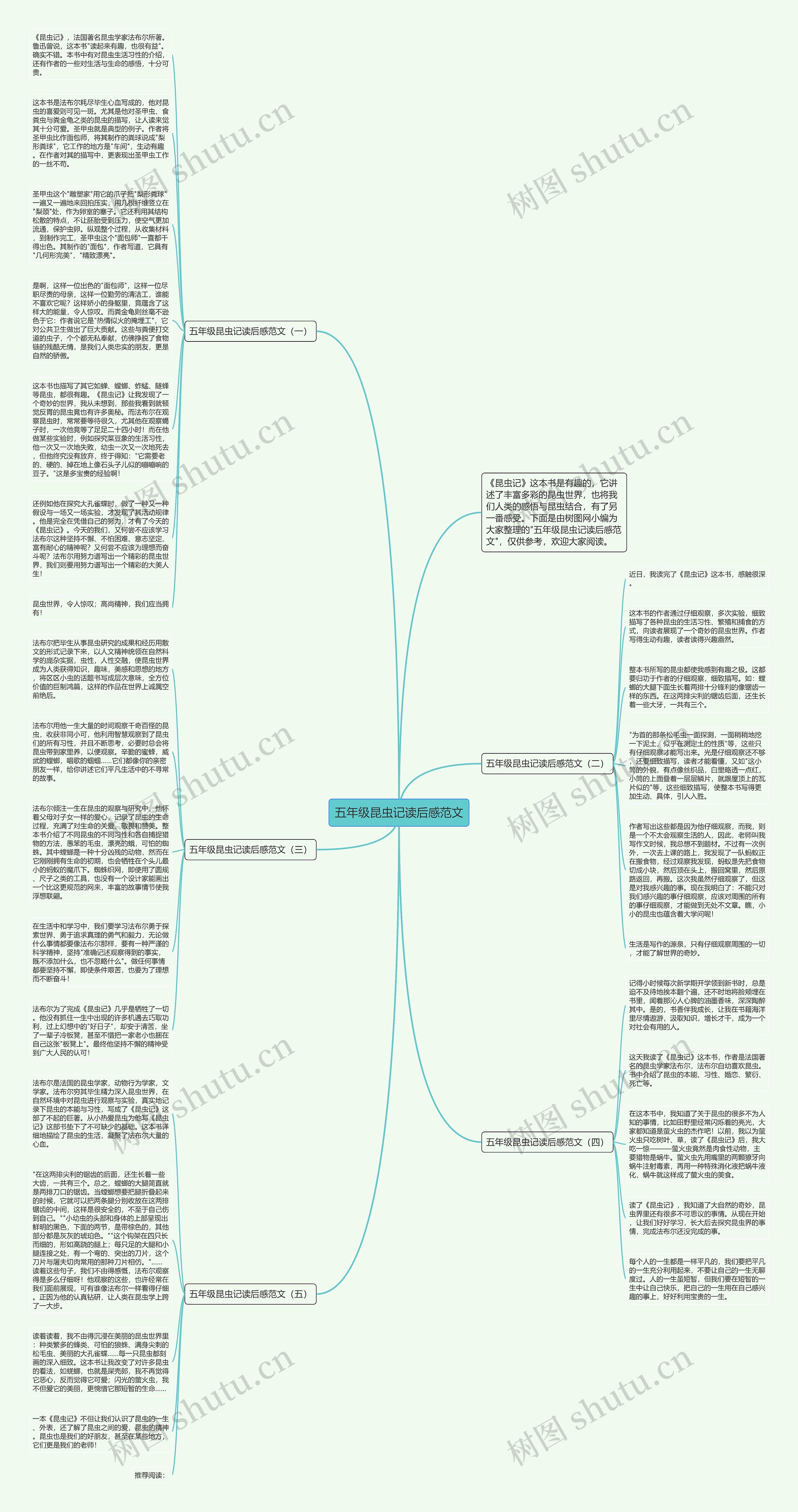 五年级昆虫记读后感范文思维导图