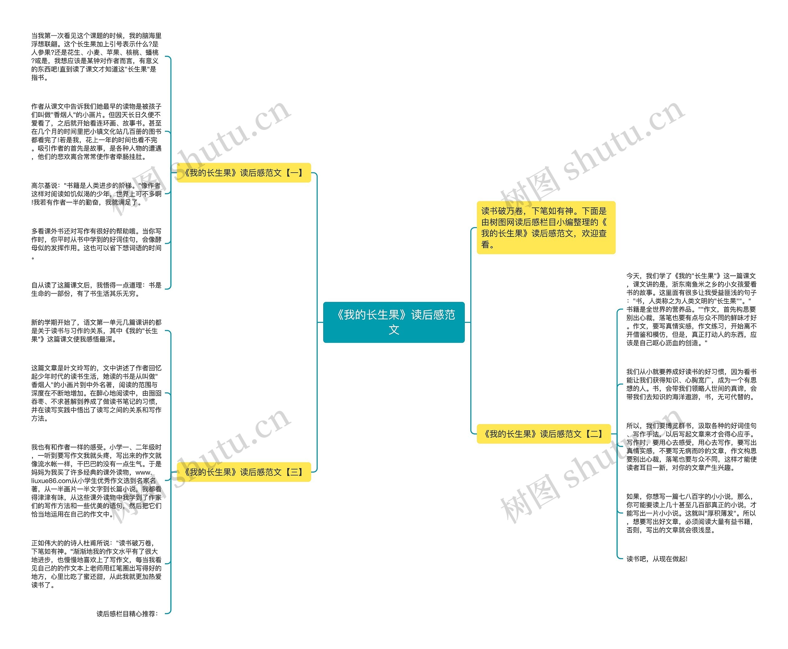 《我的长生果》读后感范文思维导图