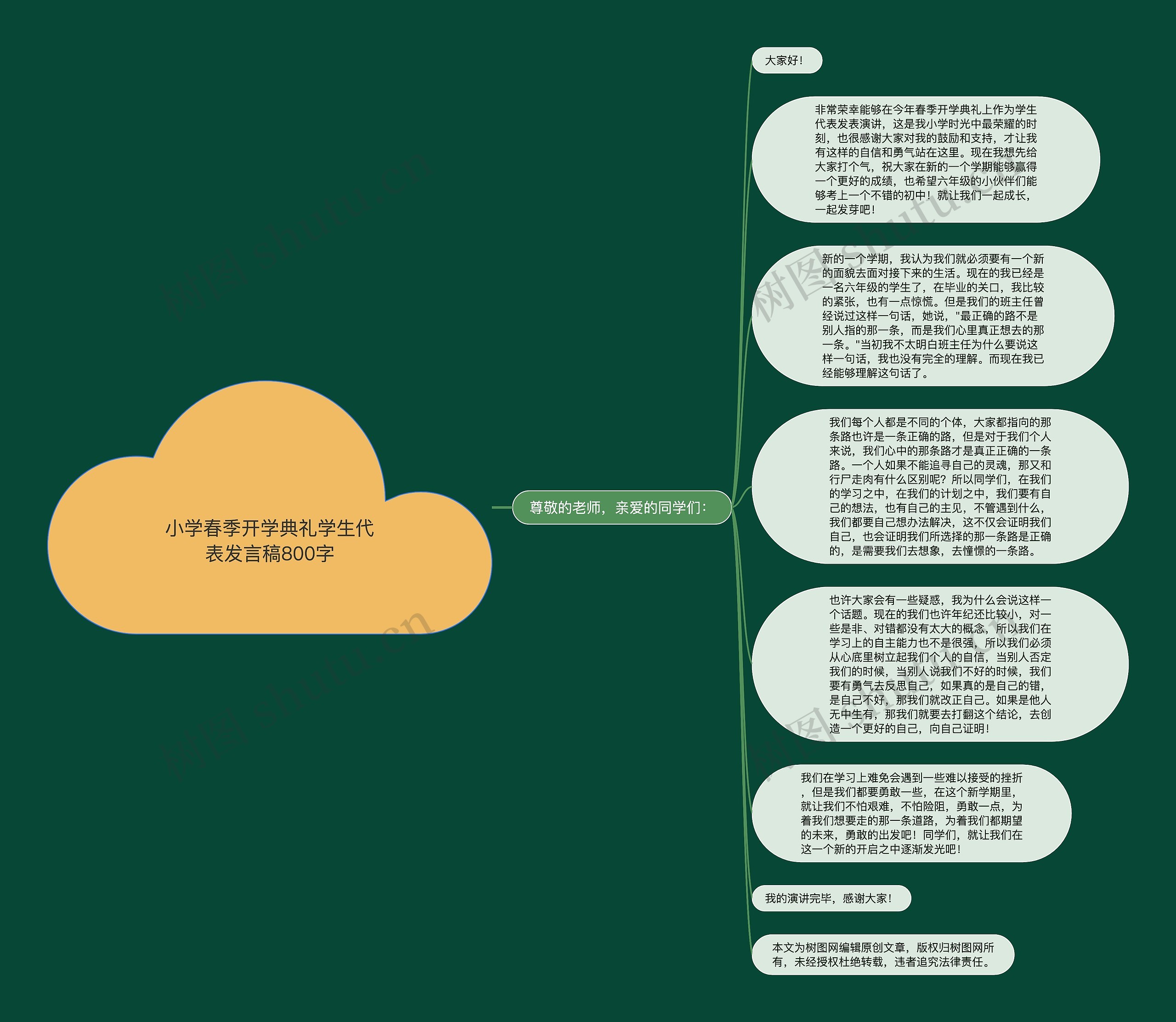 小学春季开学典礼学生代表发言稿800字思维导图