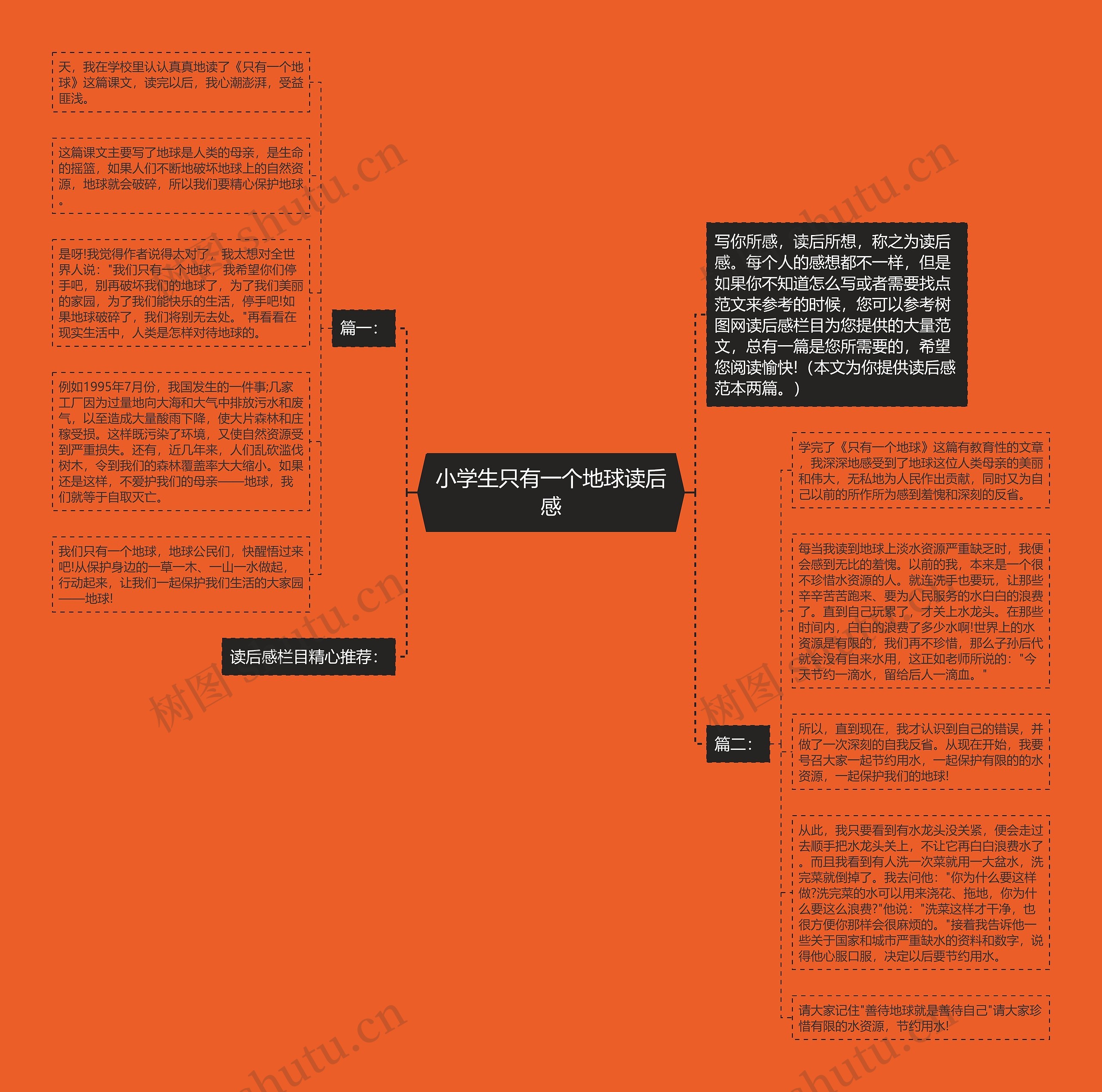 小学生只有一个地球读后感思维导图