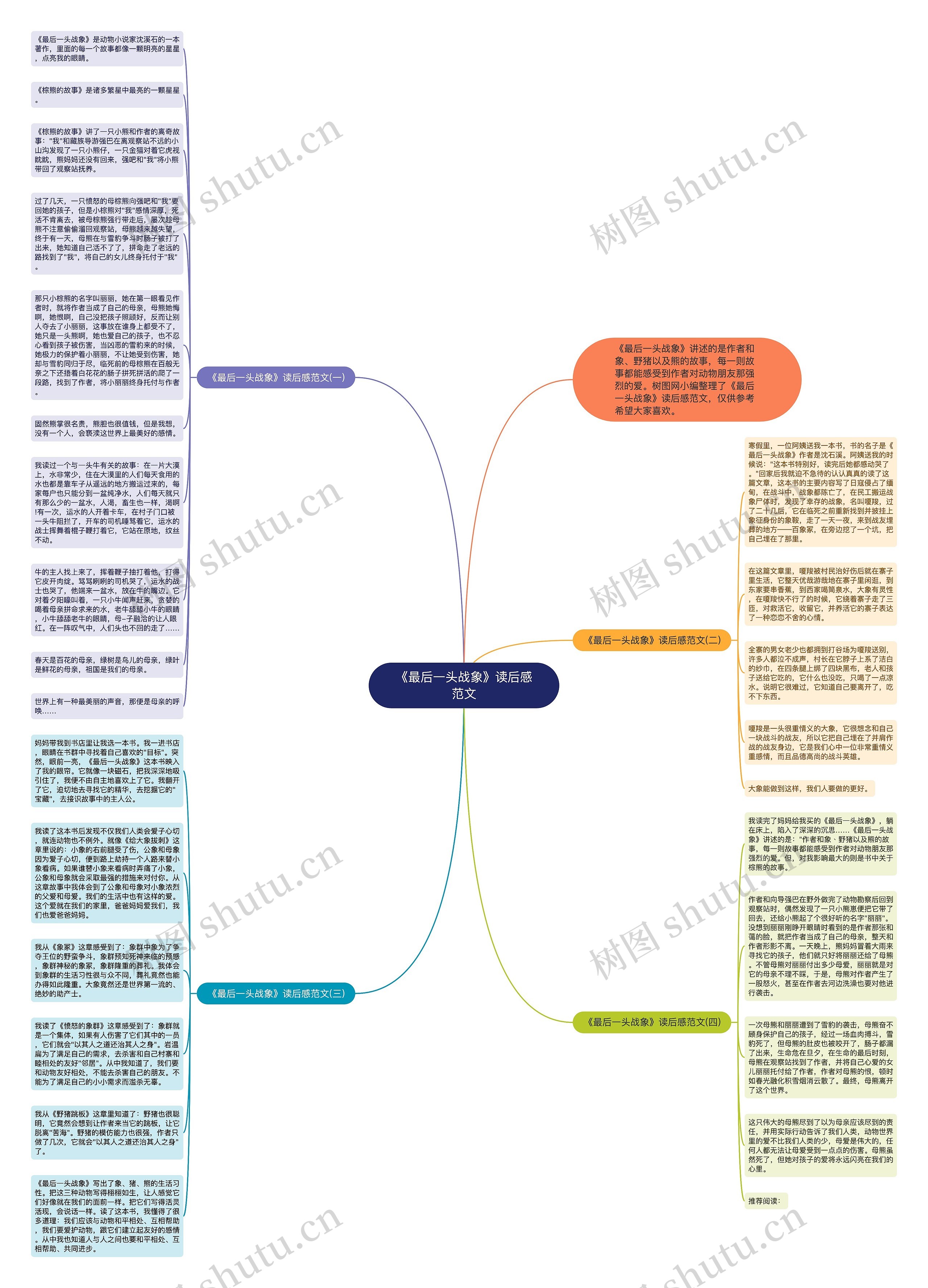 《最后一头战象》读后感范文思维导图
