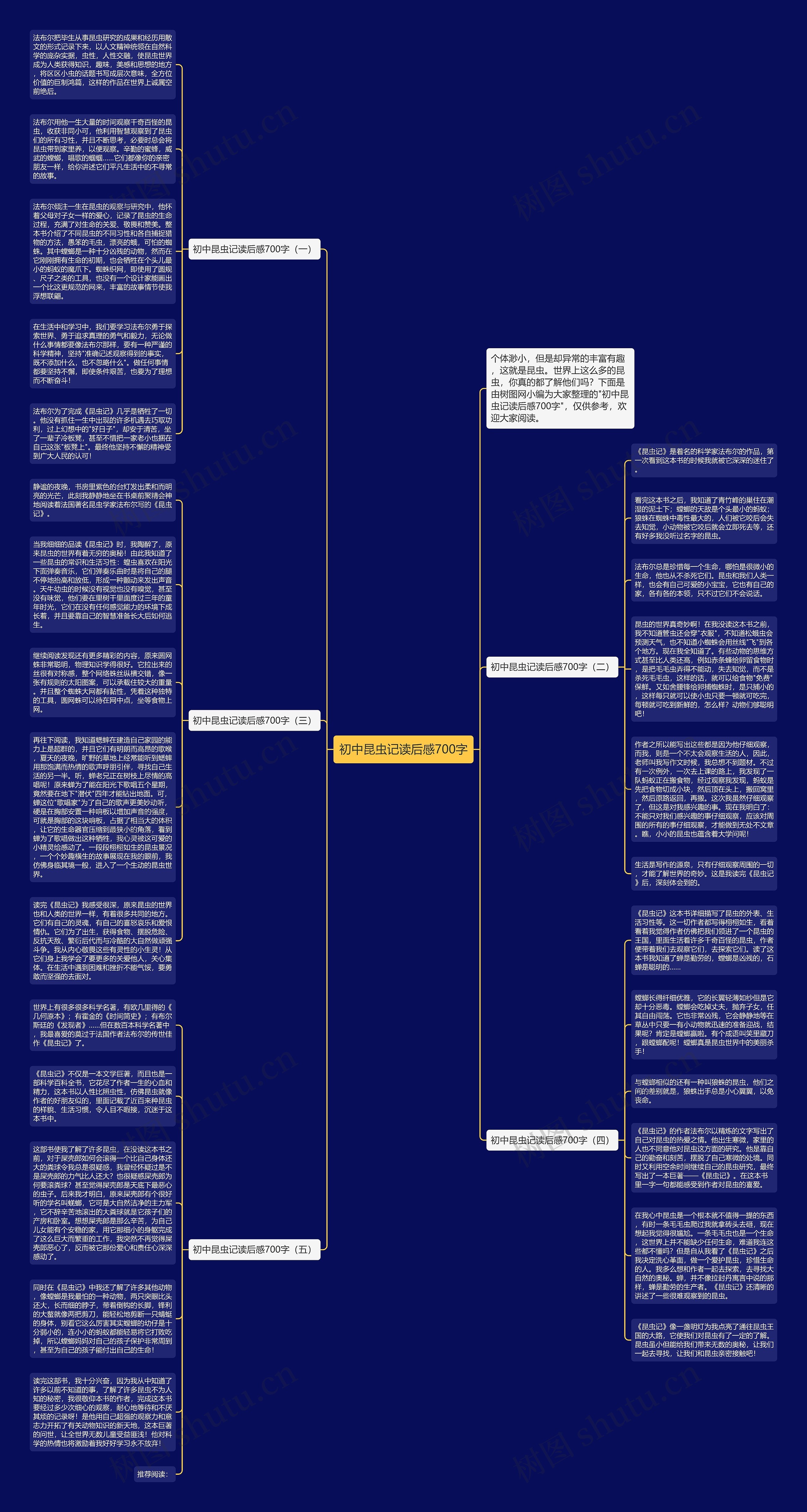 初中昆虫记读后感700字思维导图