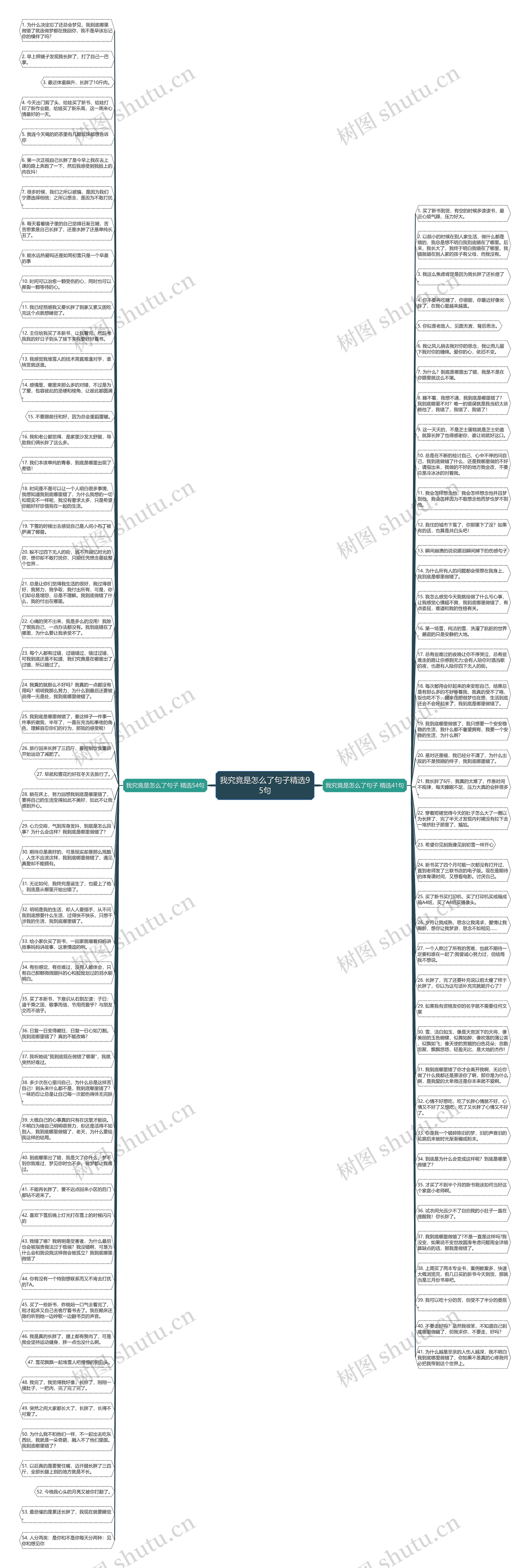我究竟是怎么了句子精选95句思维导图