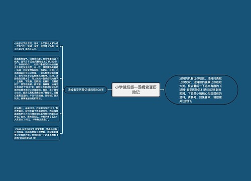 小学读后感—汤姆索亚历险记