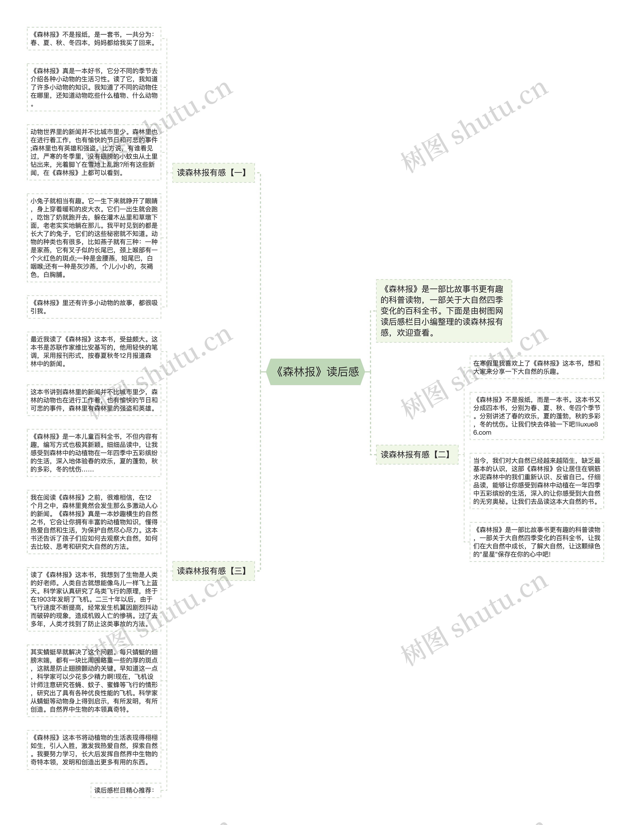 《森林报》读后感