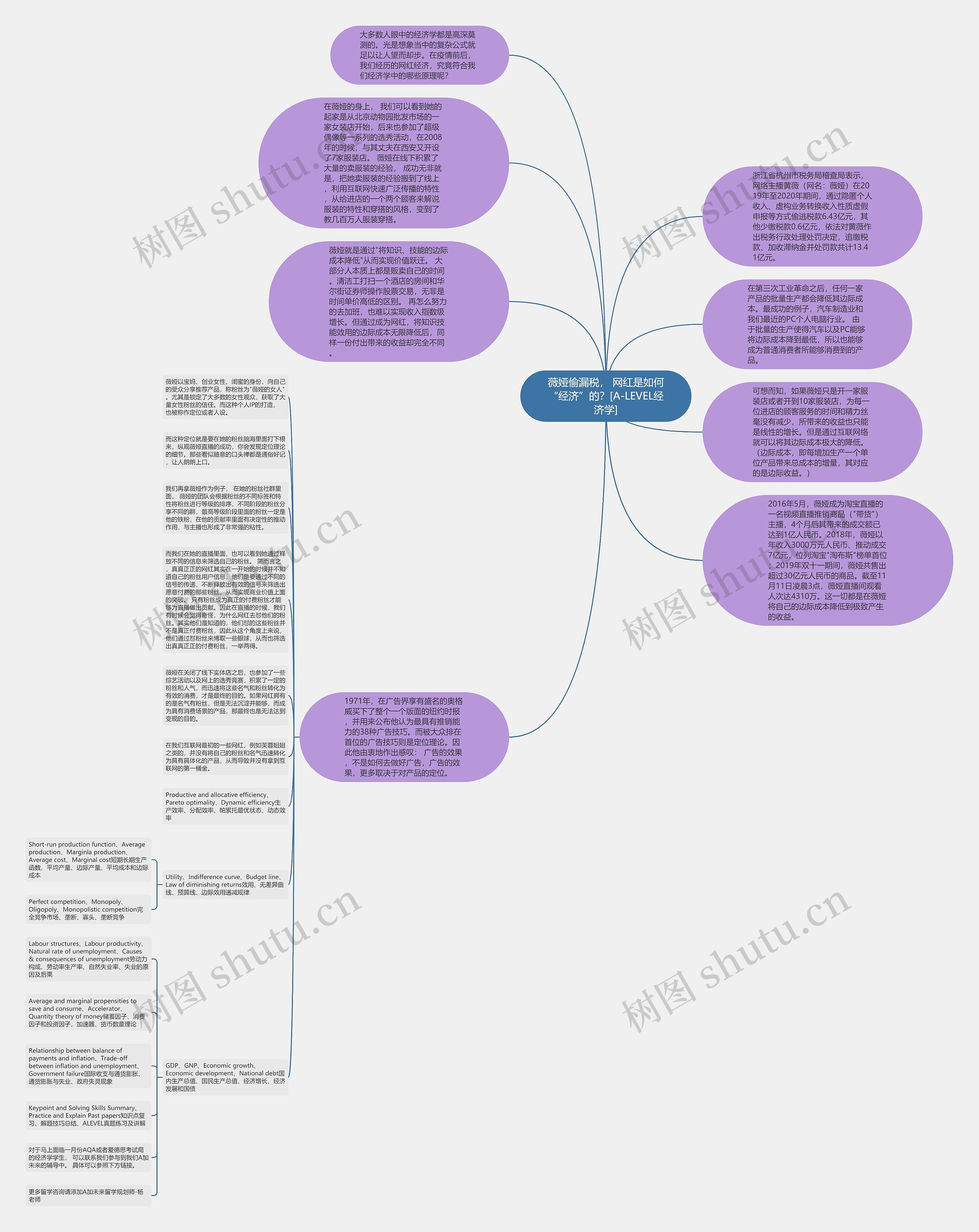 薇娅偷漏税， 网红是如何“经济”的？[A-LEVEL经济学]思维导图