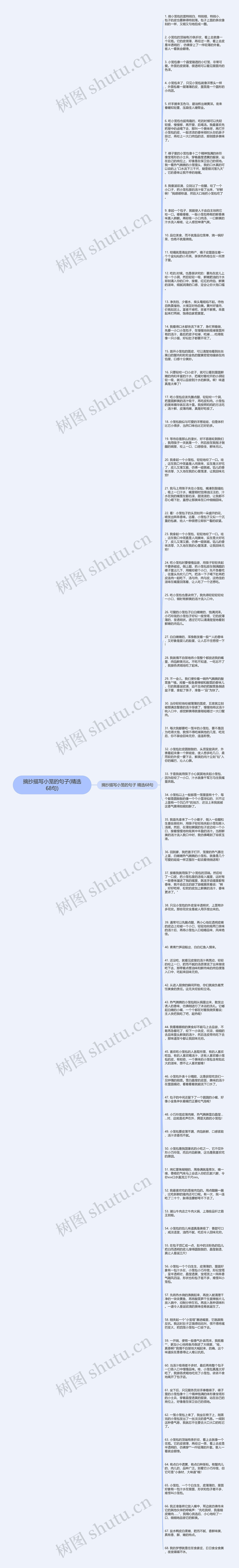摘抄描写小笼的句子(精选68句)