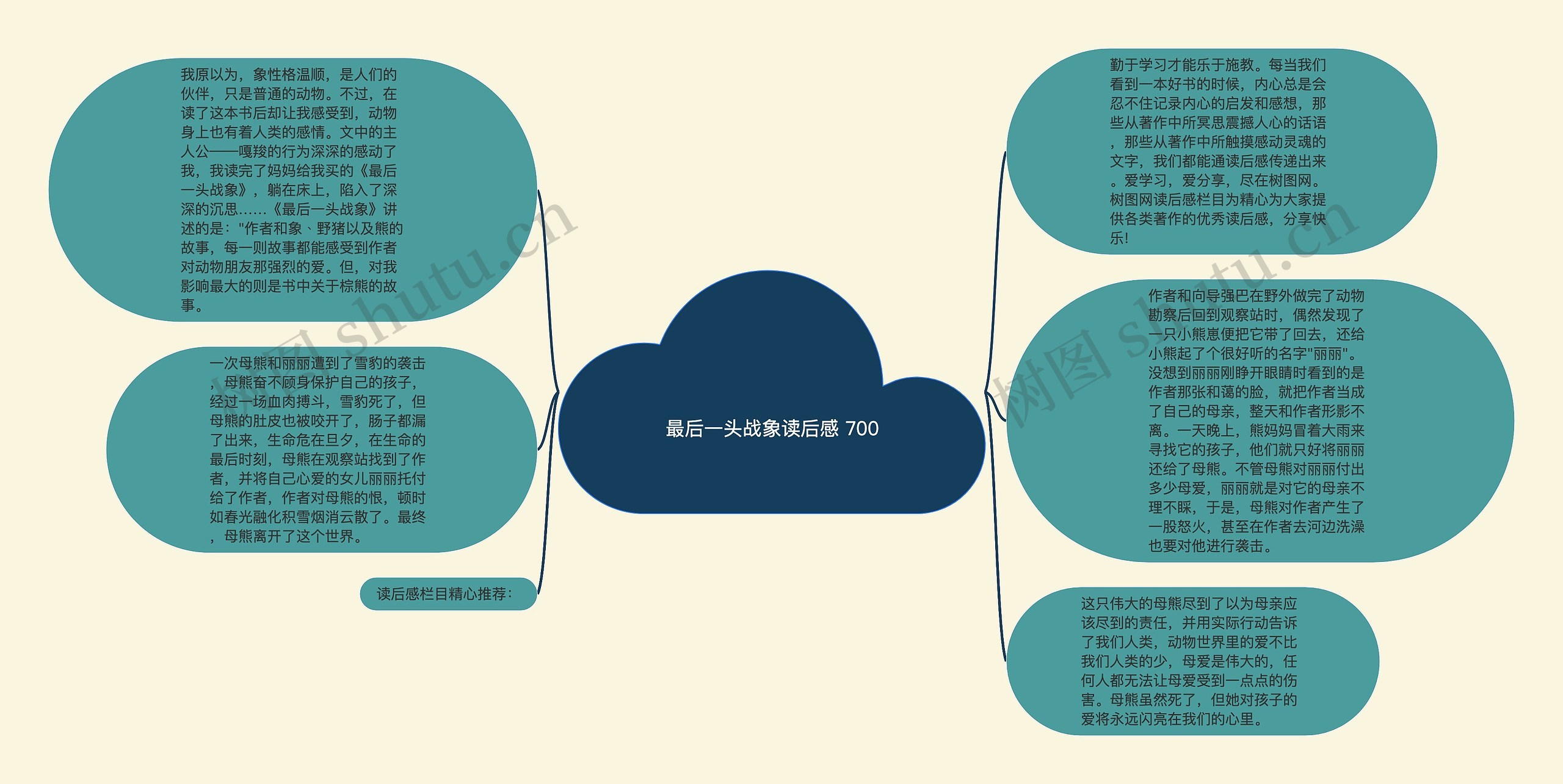 最后一头战象读后感 700思维导图