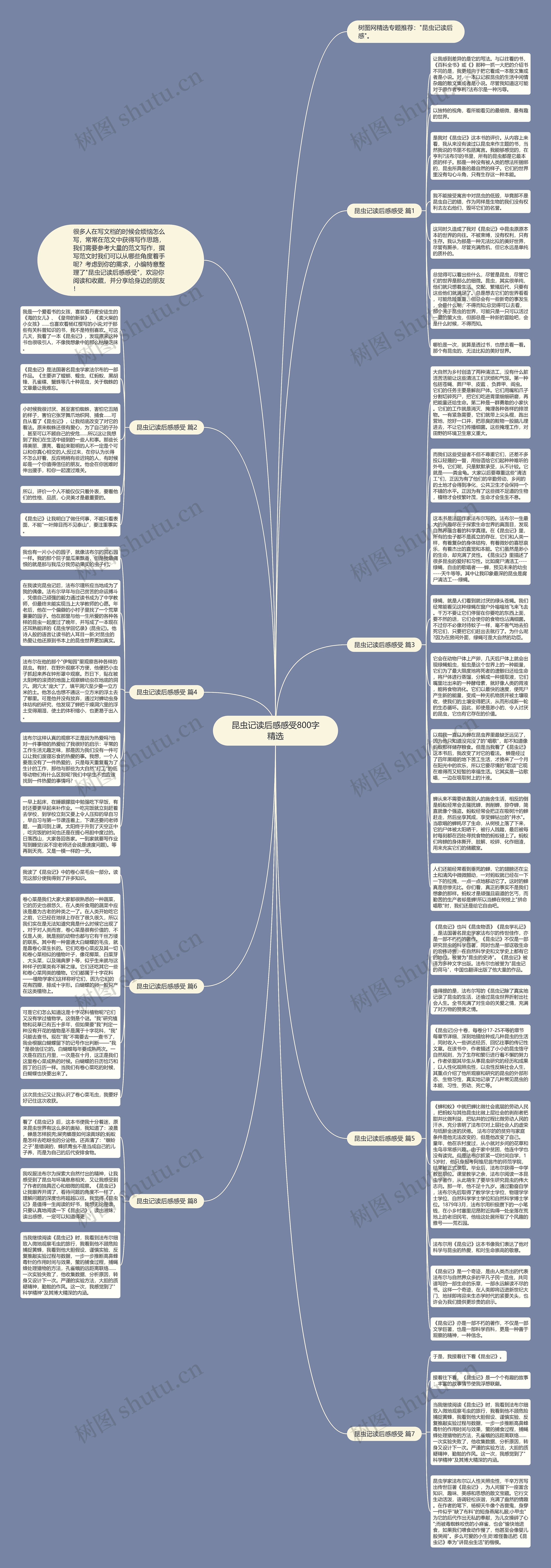 昆虫记读后感感受800字精选思维导图
