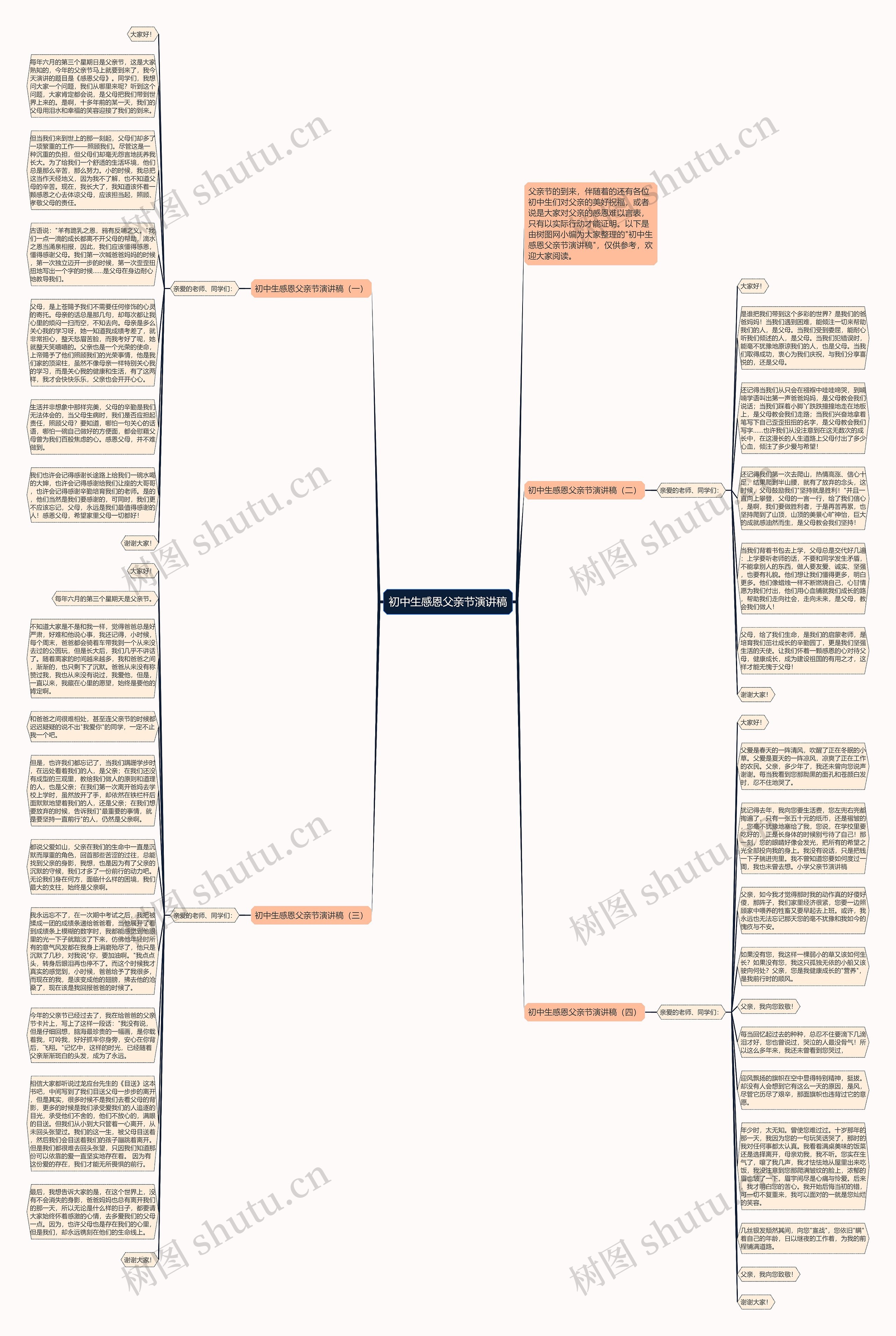 初中生感恩父亲节演讲稿思维导图
