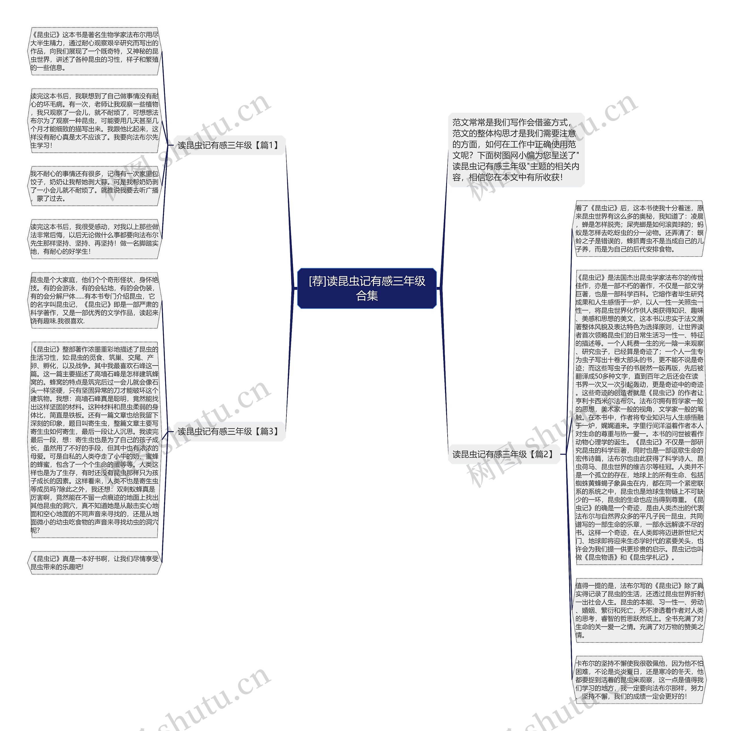 [荐]读昆虫记有感三年级合集思维导图