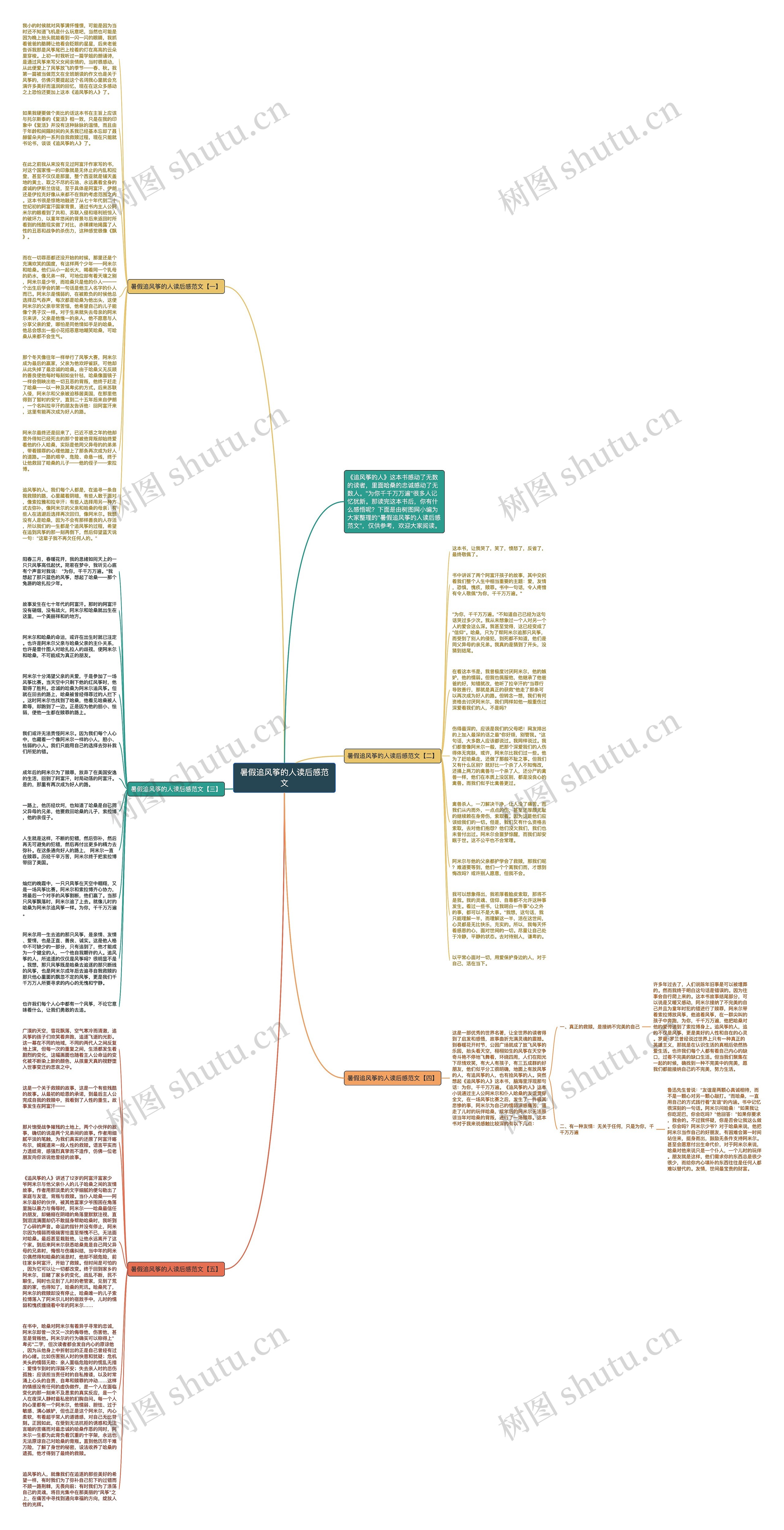 暑假追风筝的人读后感范文思维导图