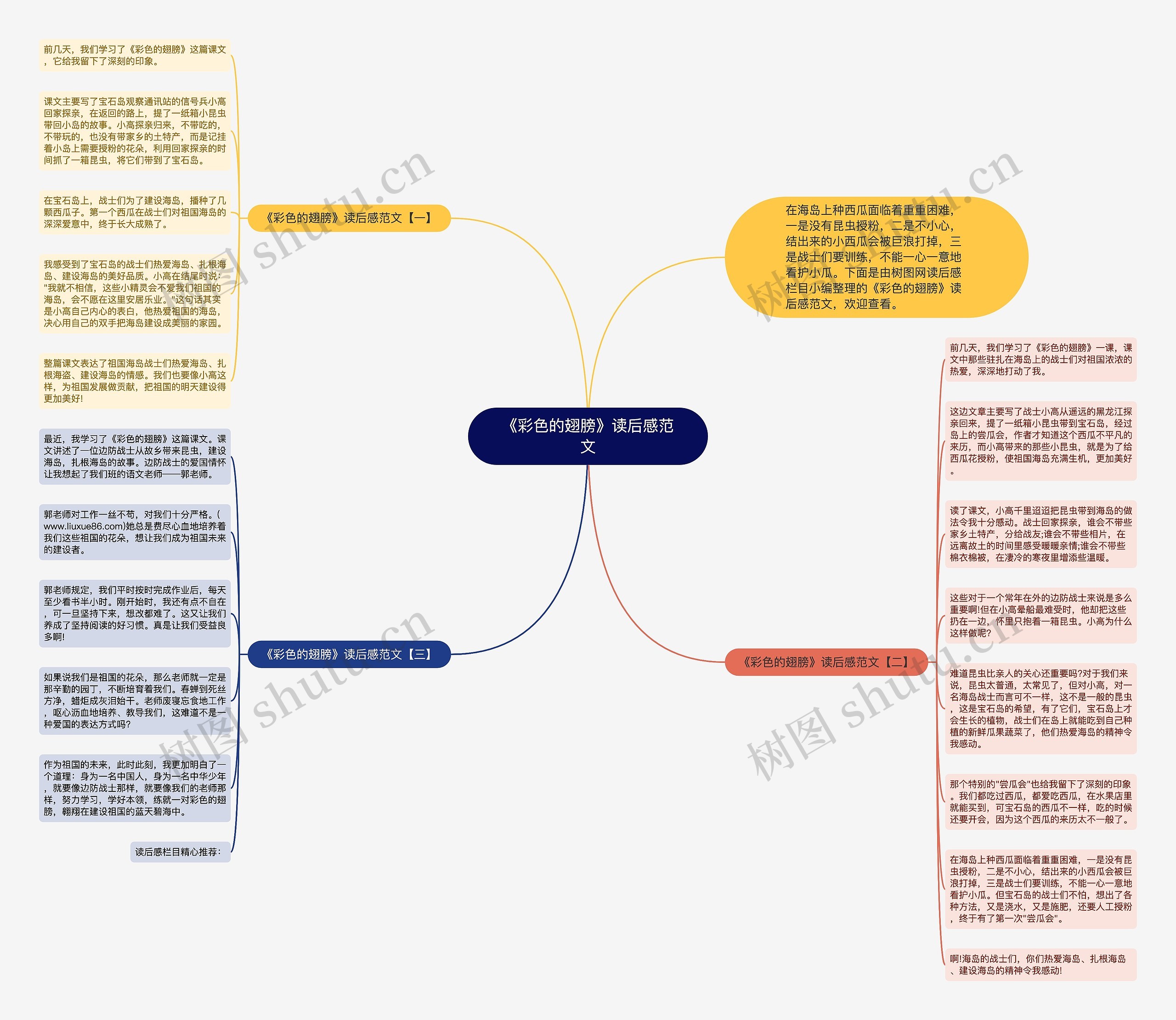 《彩色的翅膀》读后感范文思维导图