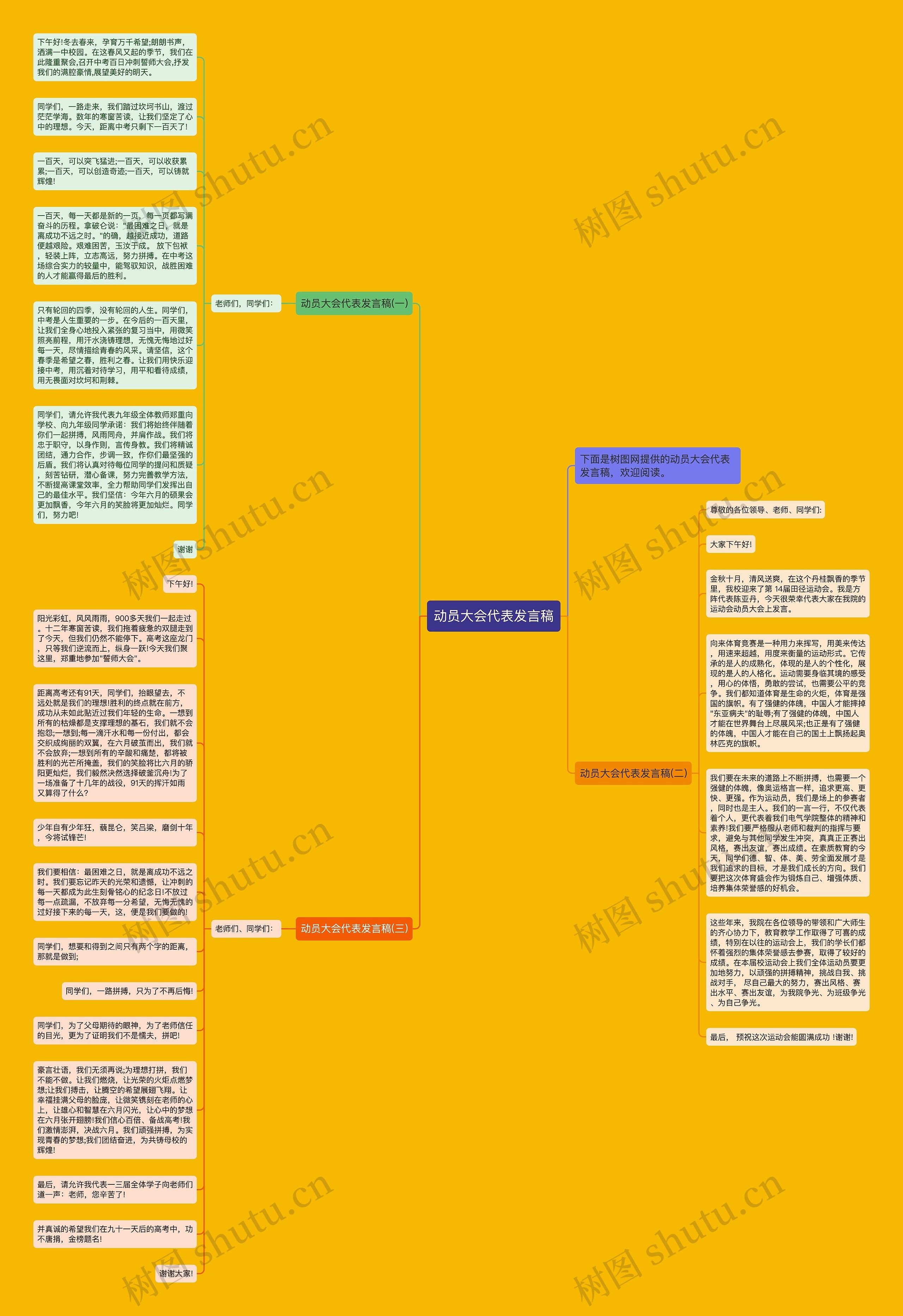 动员大会代表发言稿思维导图