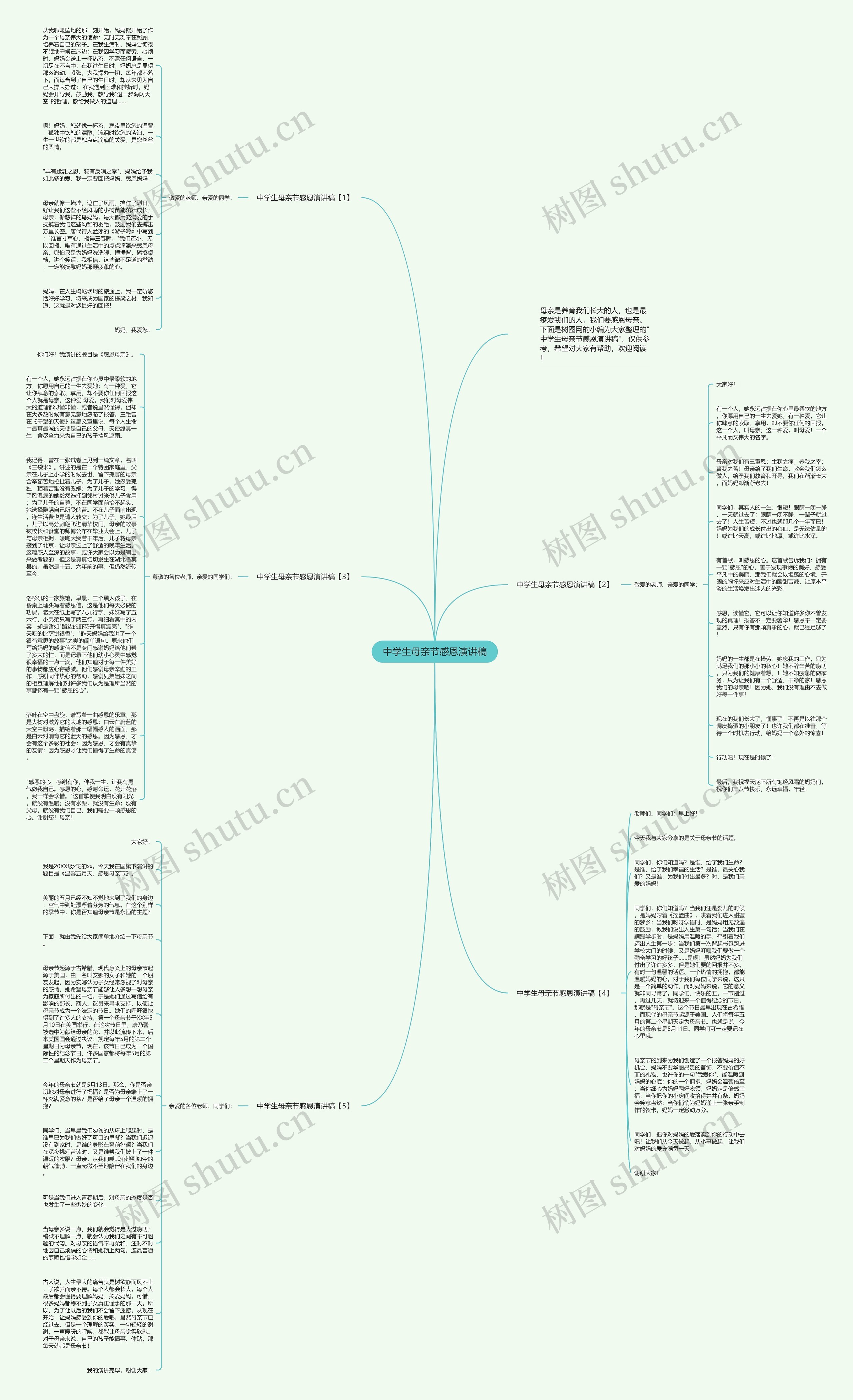 中学生母亲节感恩演讲稿思维导图
