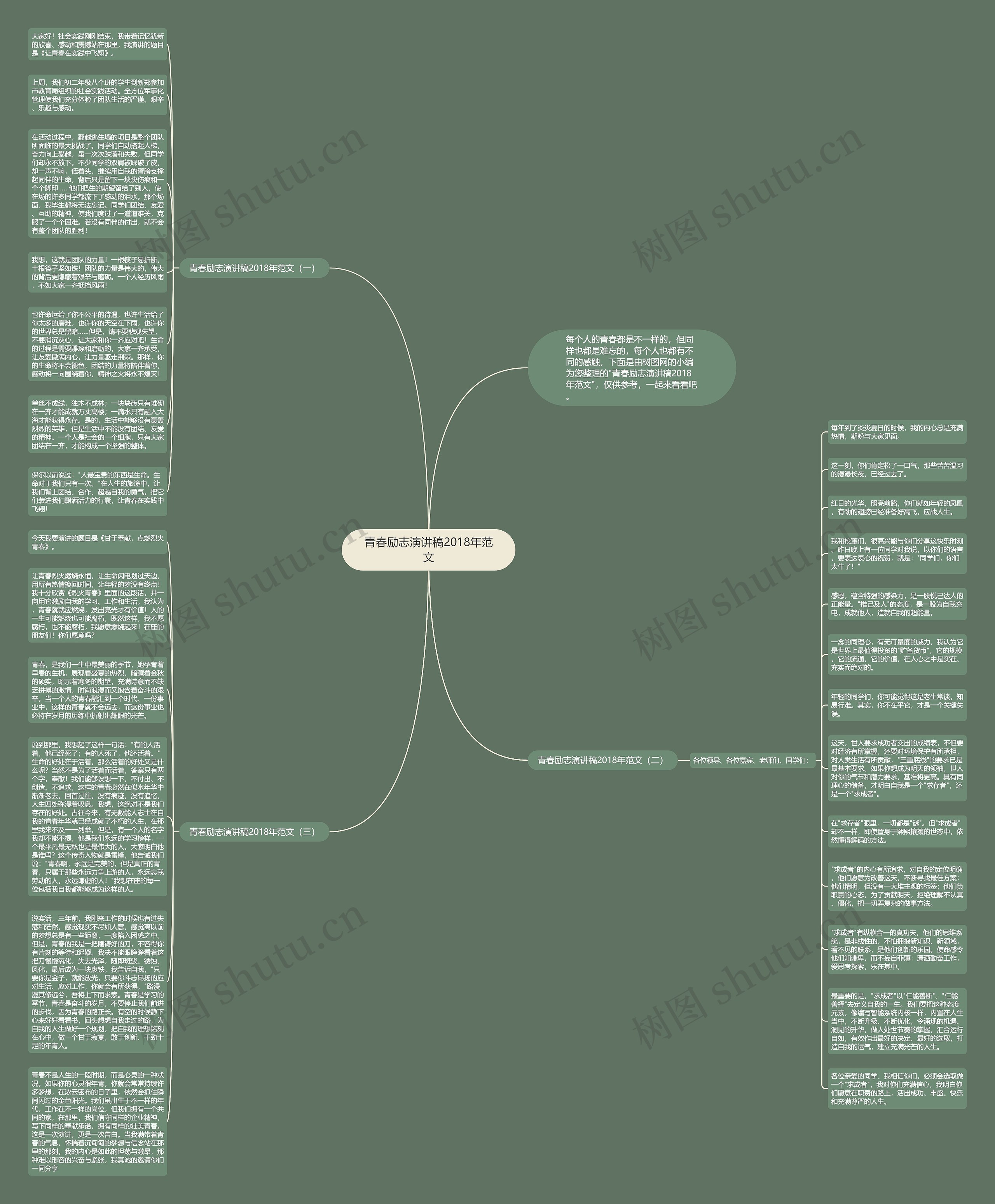 青春励志演讲稿2018年范文思维导图