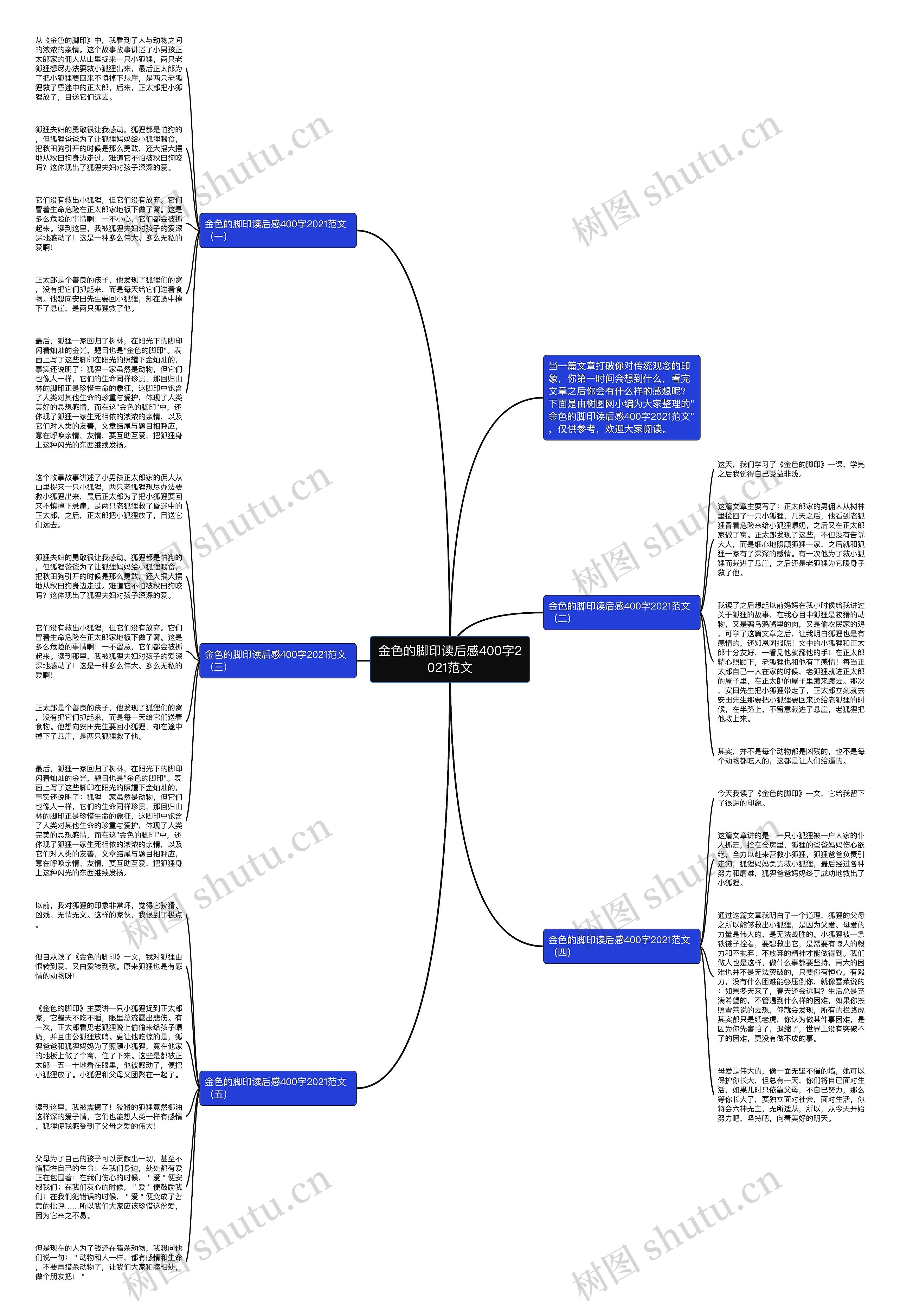 金色的脚印读后感400字2021范文思维导图