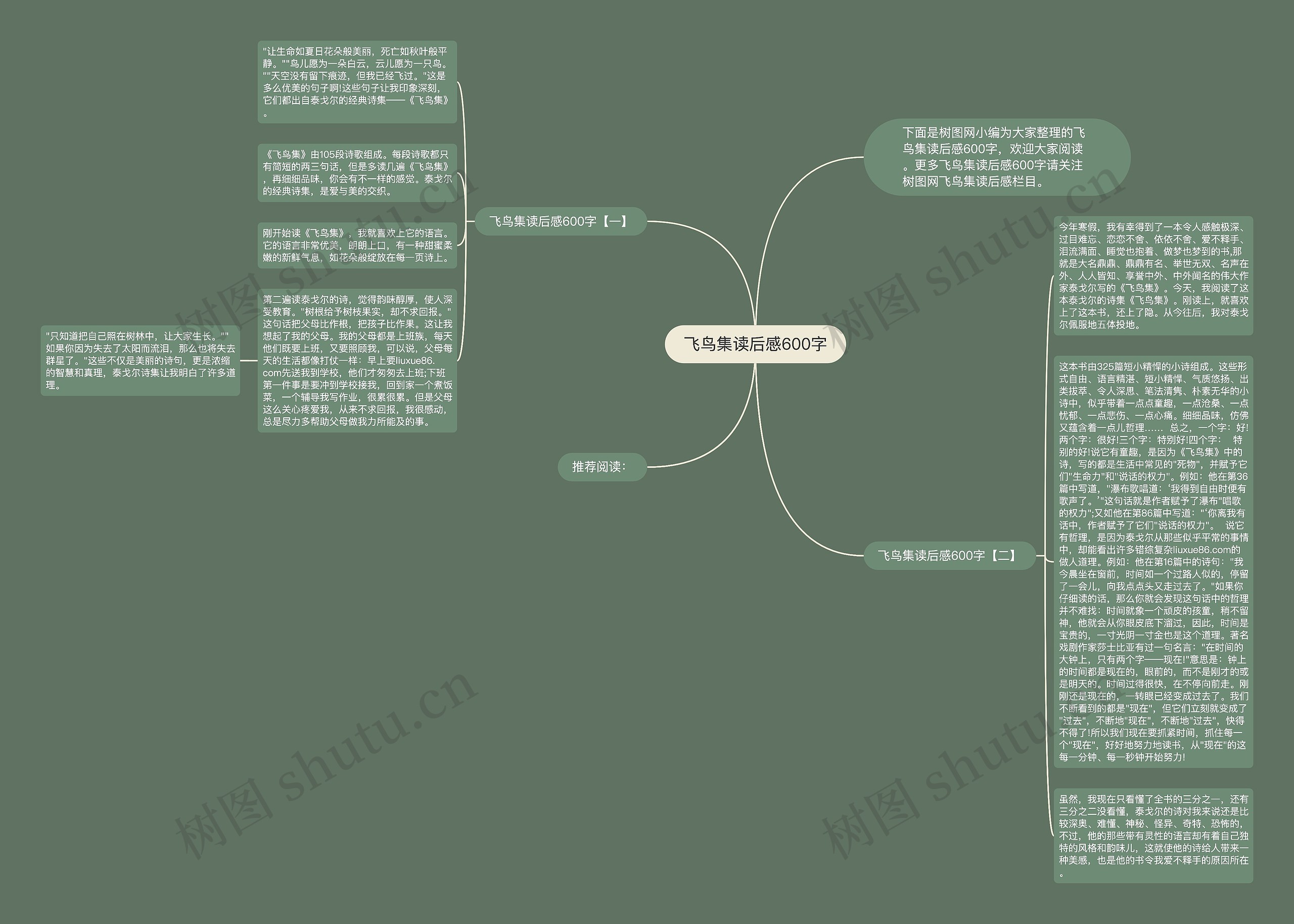 飞鸟集读后感600字思维导图