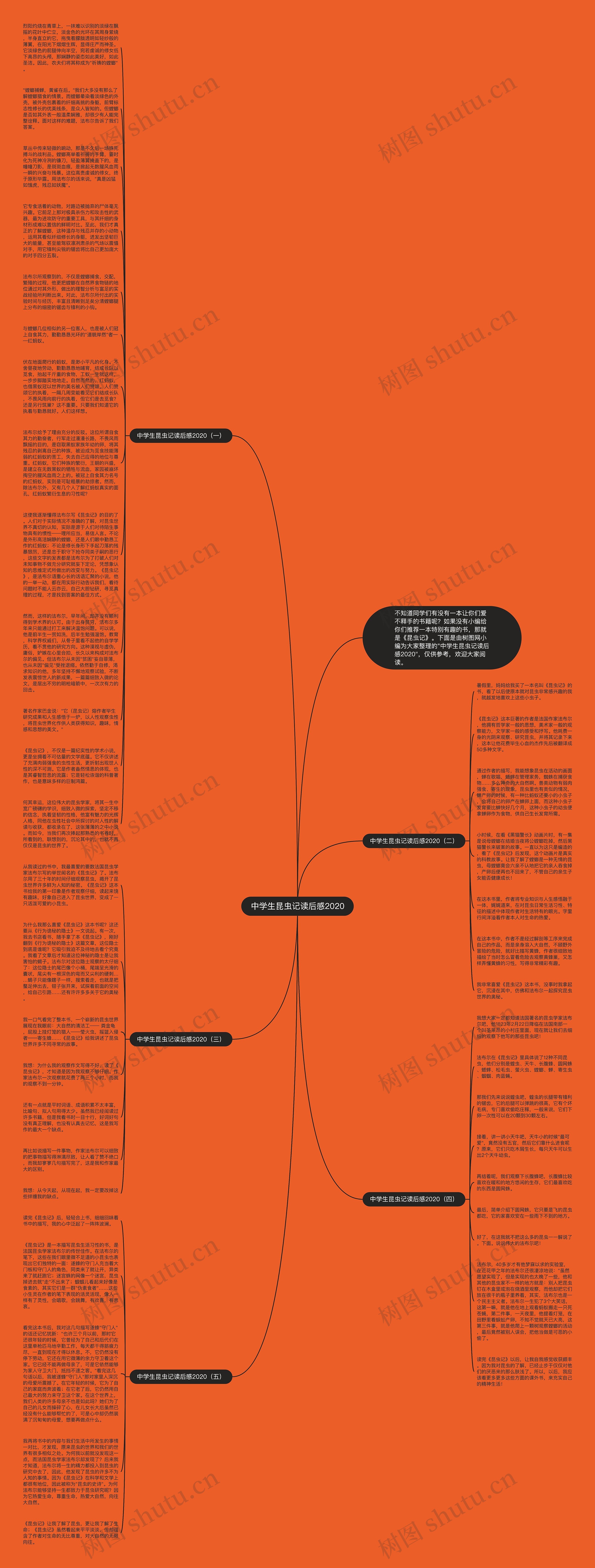 中学生昆虫记读后感2020思维导图
