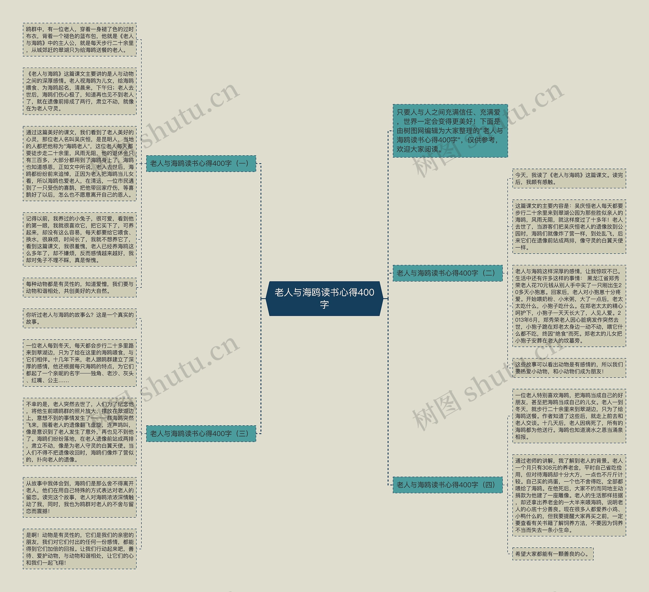 老人与海鸥读书心得400字思维导图