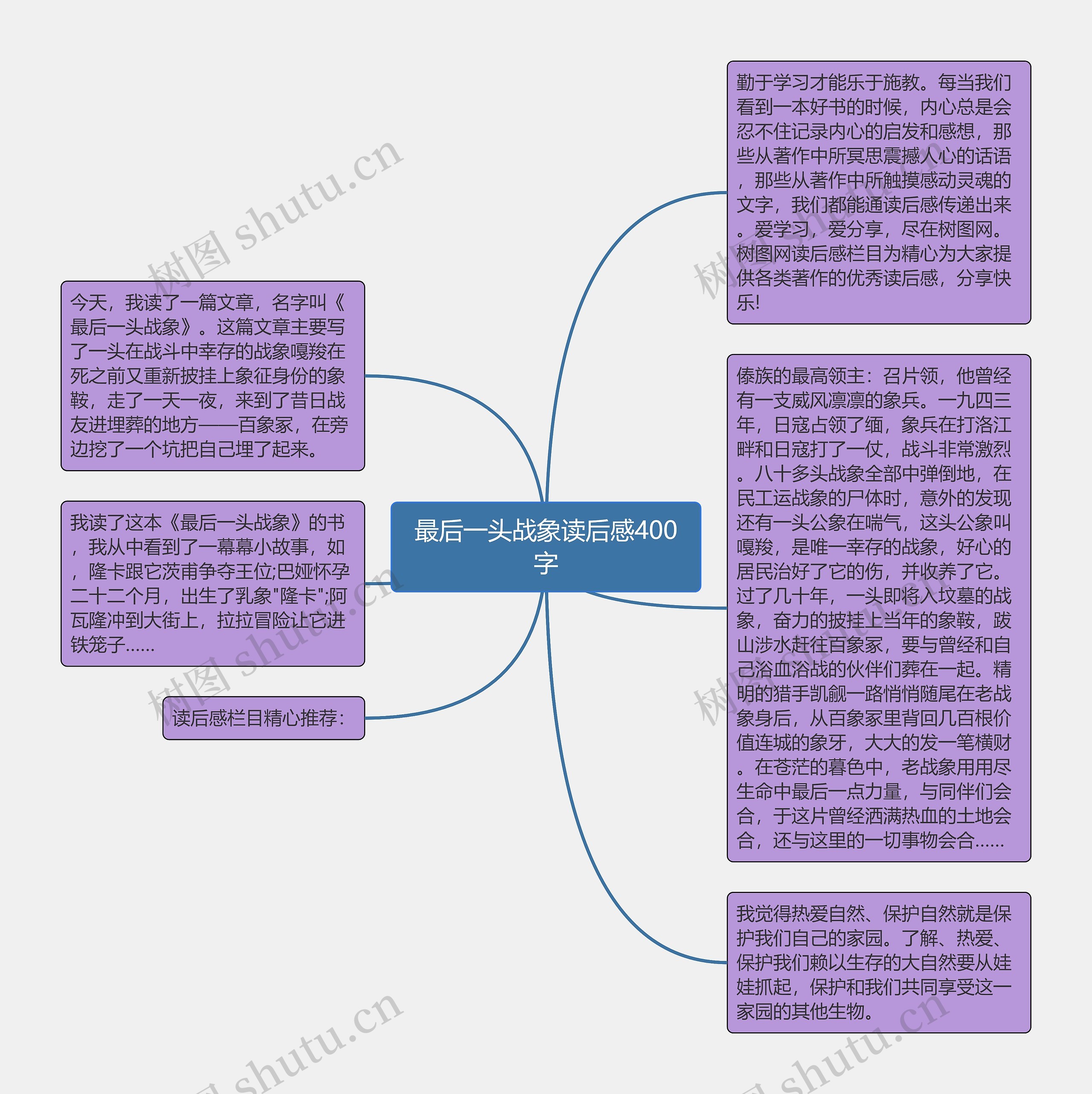 最后一头战象读后感400字思维导图