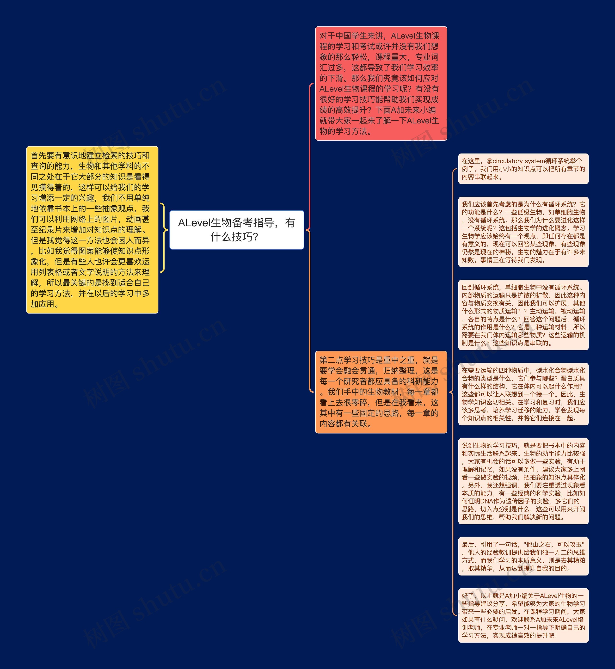 ALevel生物备考指导，有什么技巧？思维导图