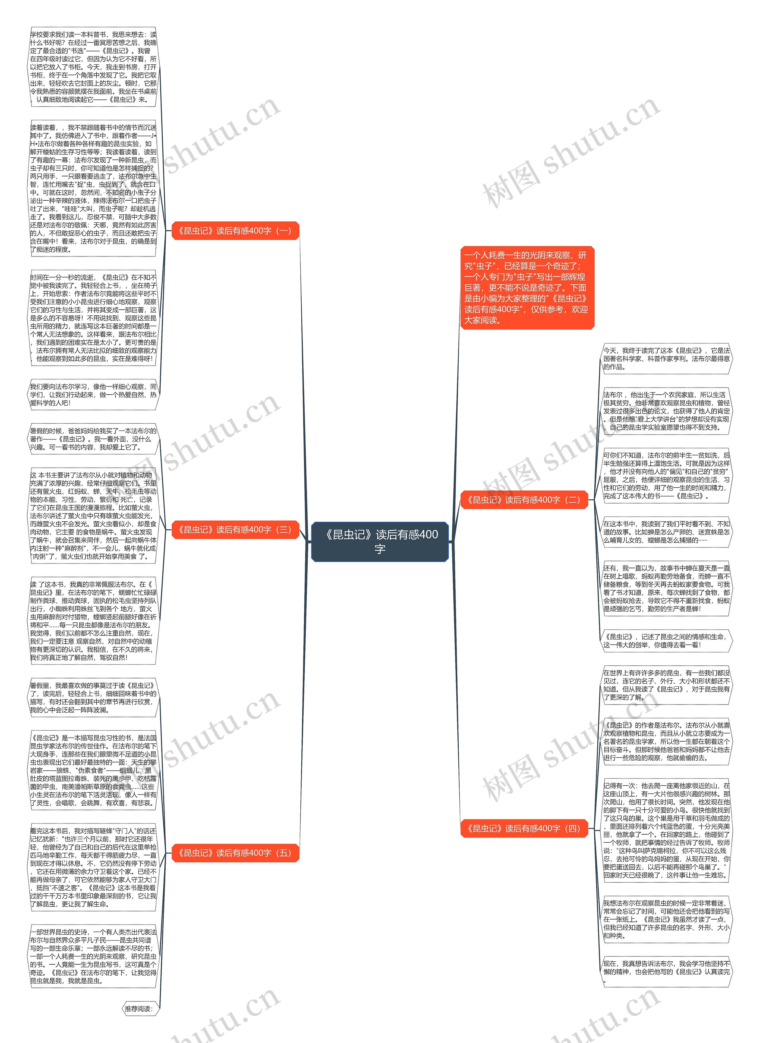 《昆虫记》读后有感400字思维导图