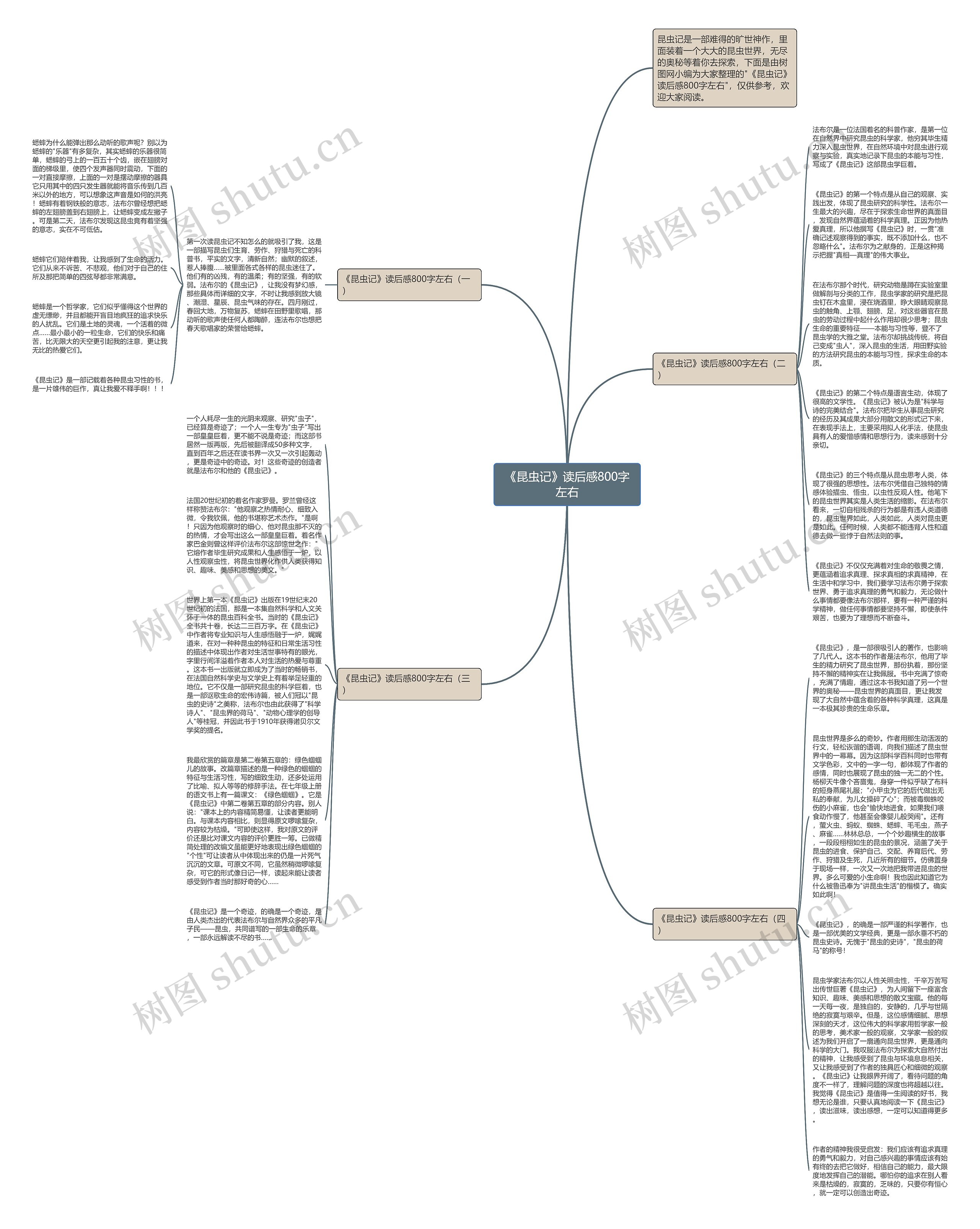 《昆虫记》读后感800字左右思维导图