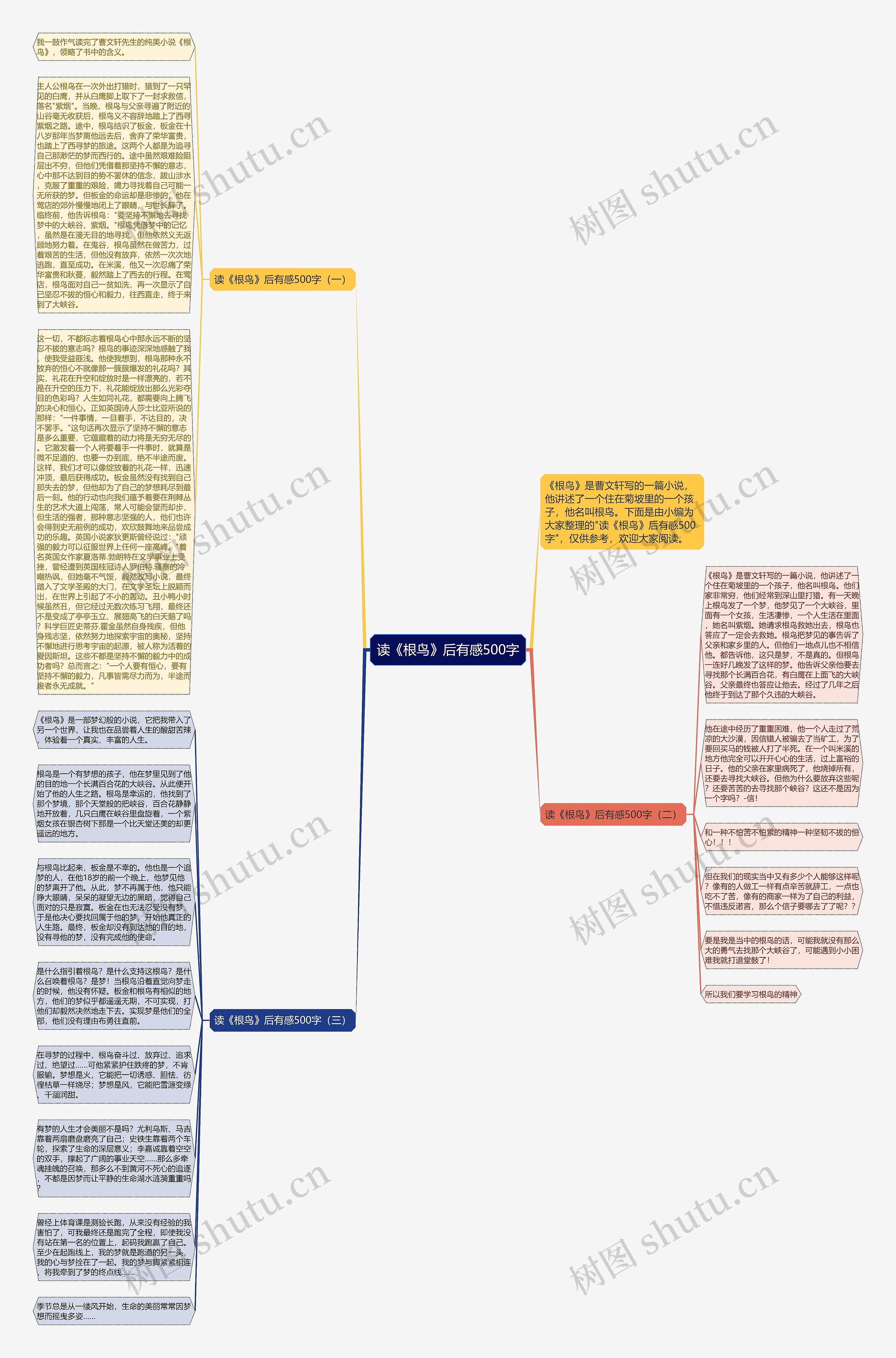 读《根鸟》后有感500字思维导图