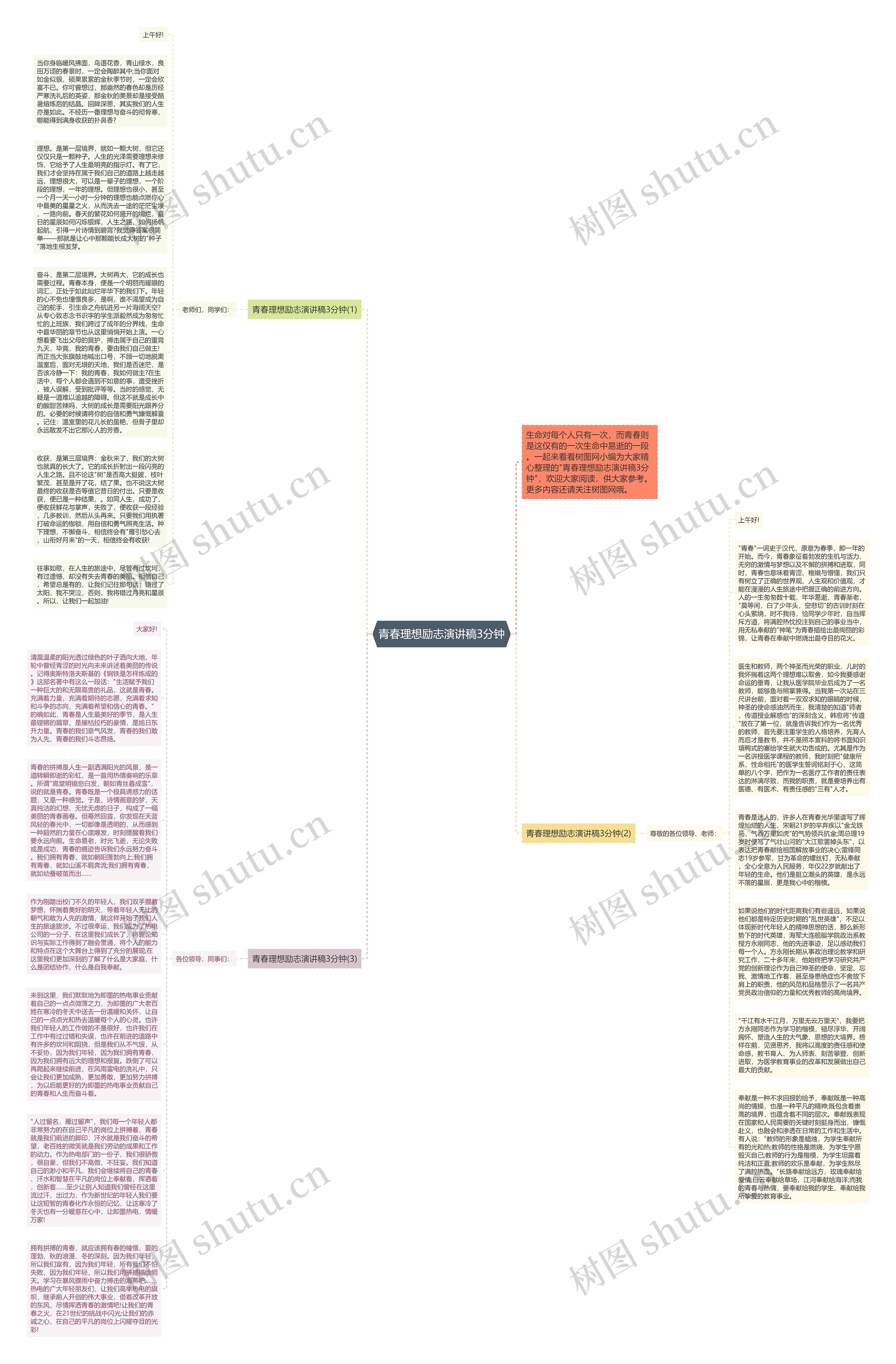 青春理想励志演讲稿3分钟思维导图