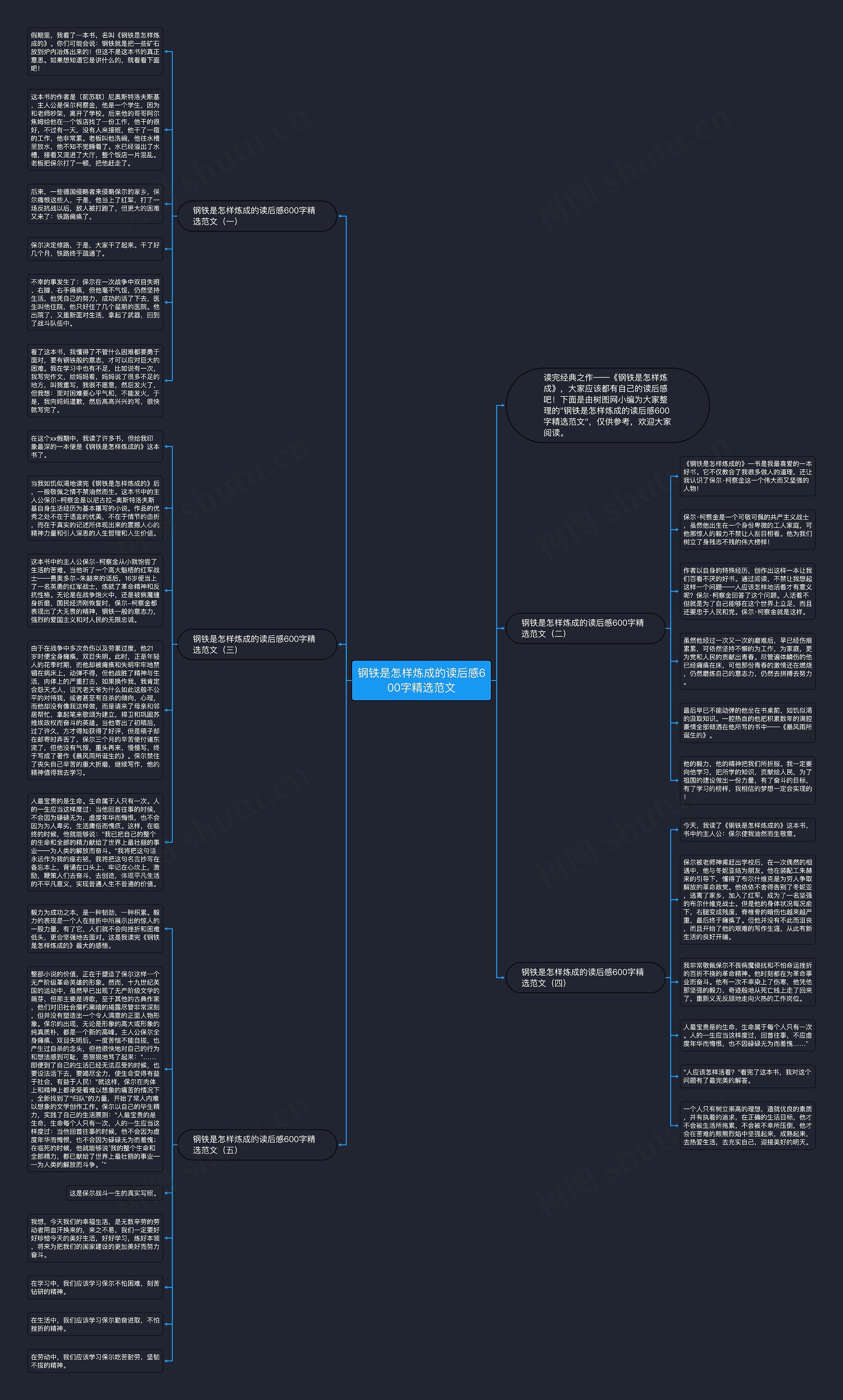 钢铁是怎样炼成的读后感600字精选范文思维导图