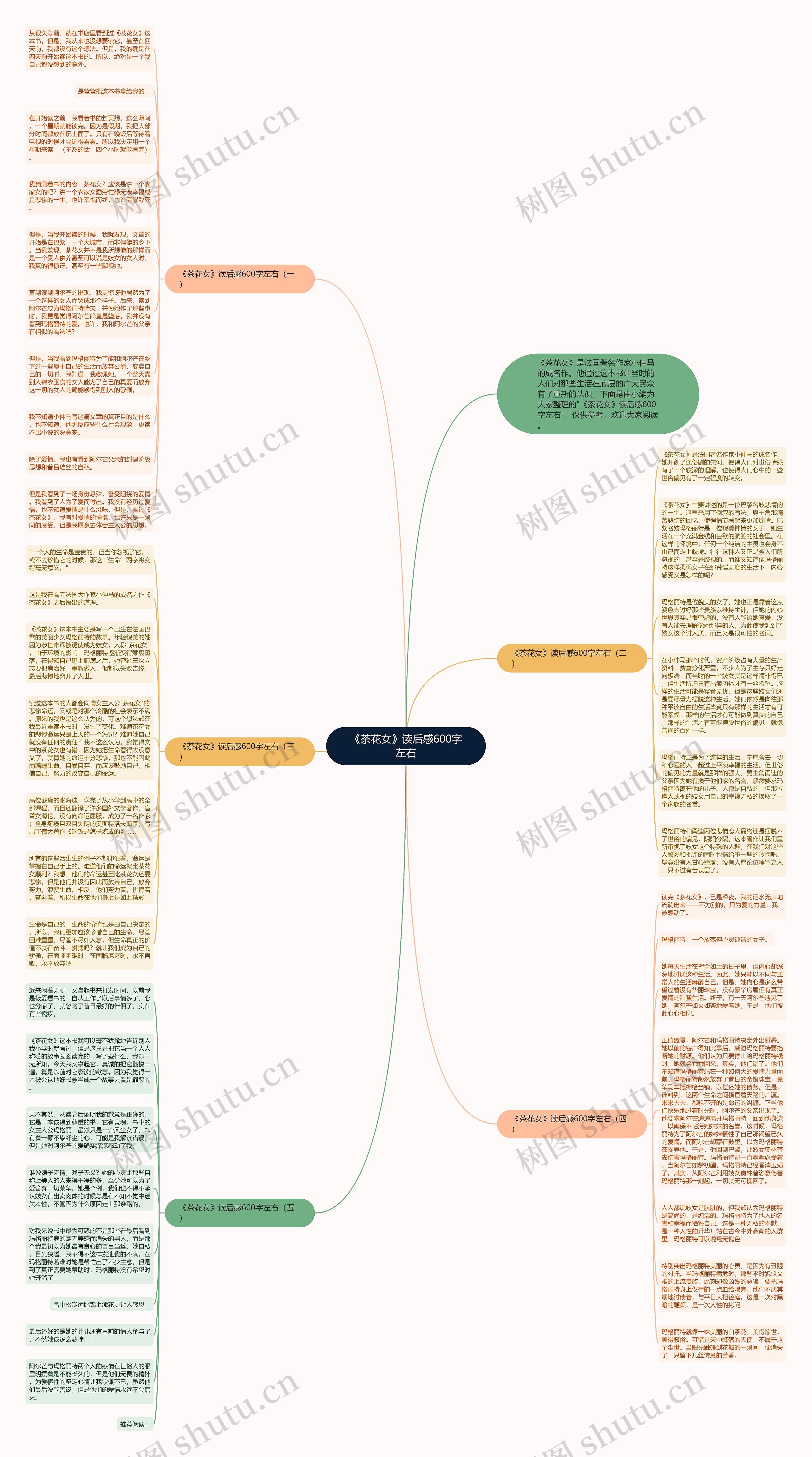 《茶花女》读后感600字左右思维导图
