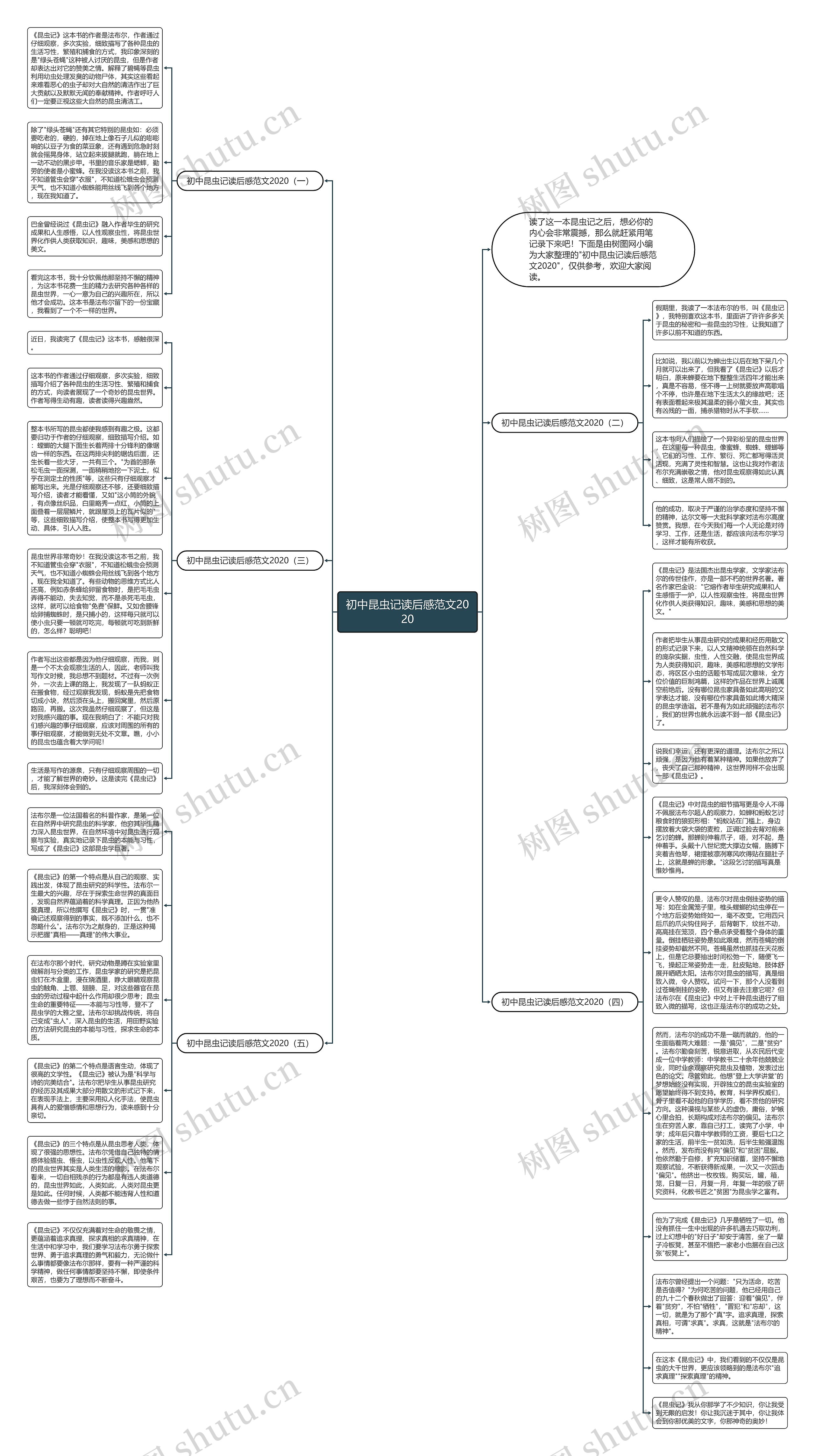 初中昆虫记读后感范文2020思维导图